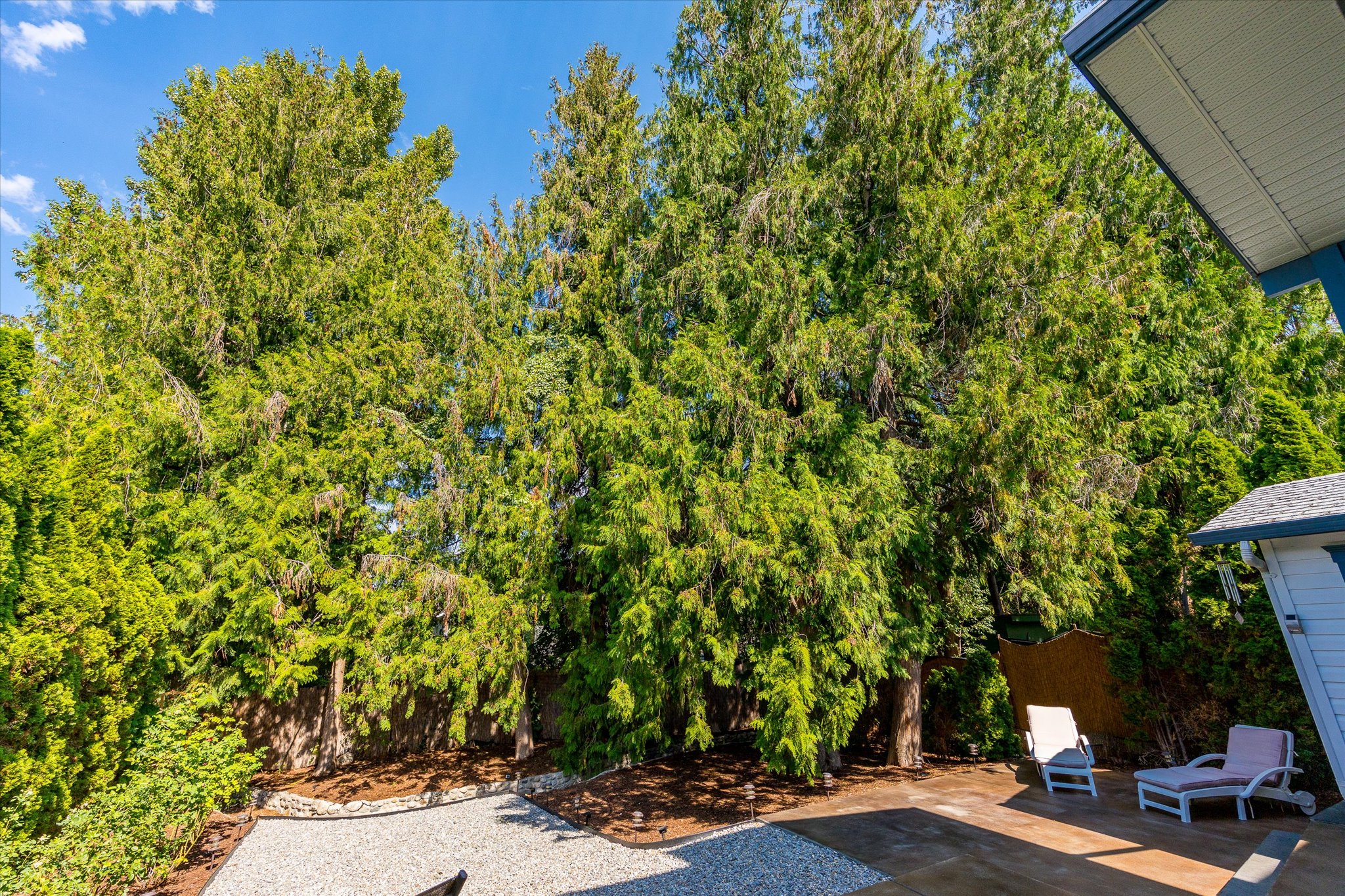 842 Raymer Road