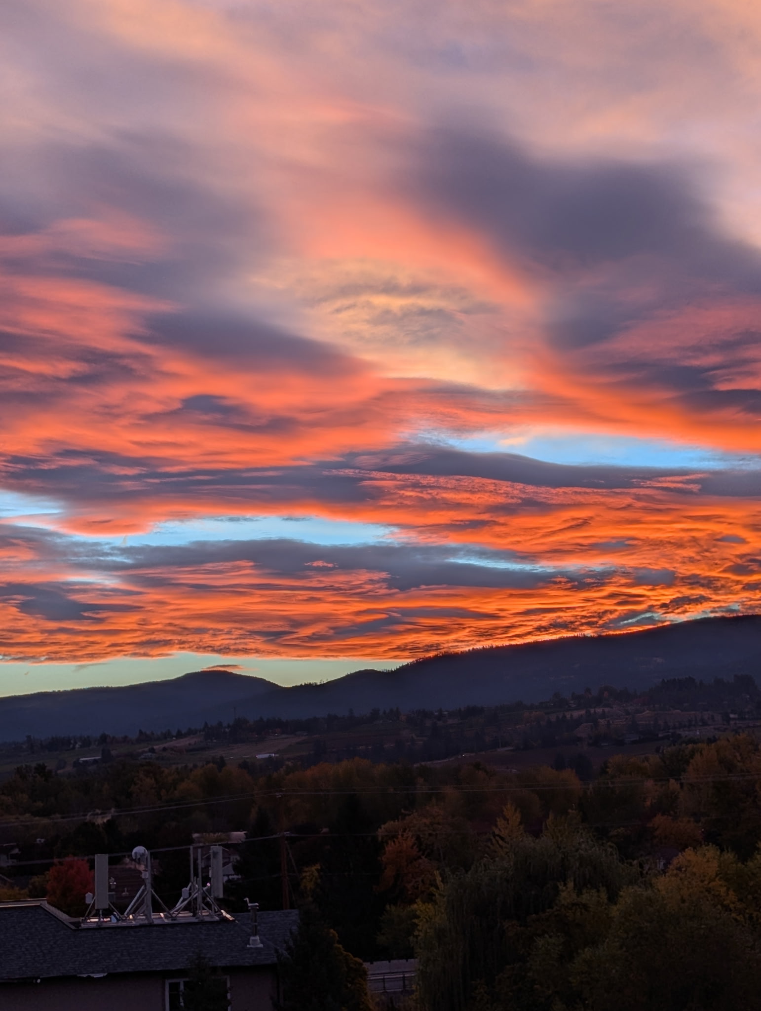 529 Truswell Road 604