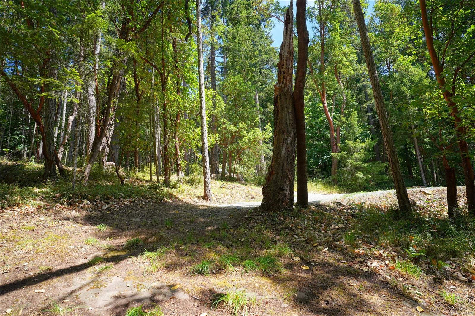 277 Stark Rd