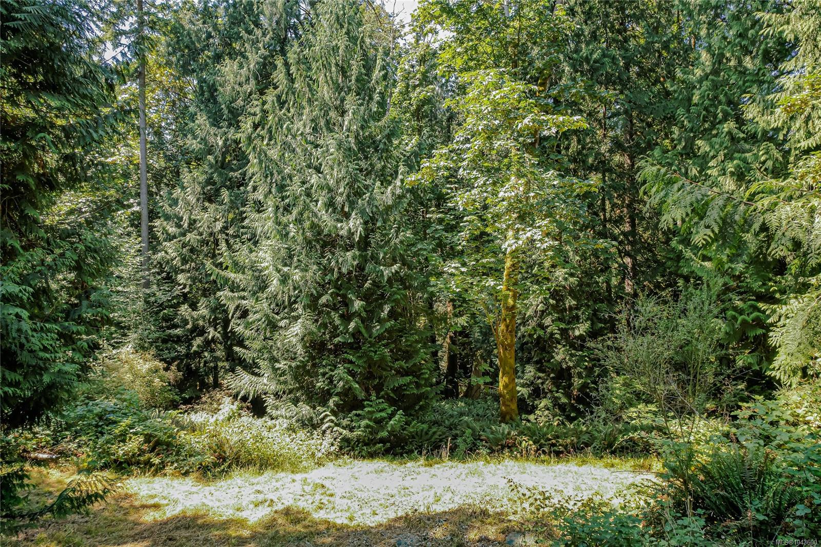 215 Long Harbour Rd