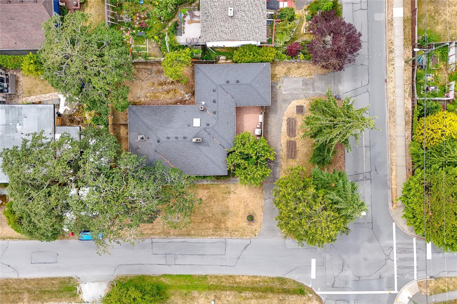 3830 Palo Alto St