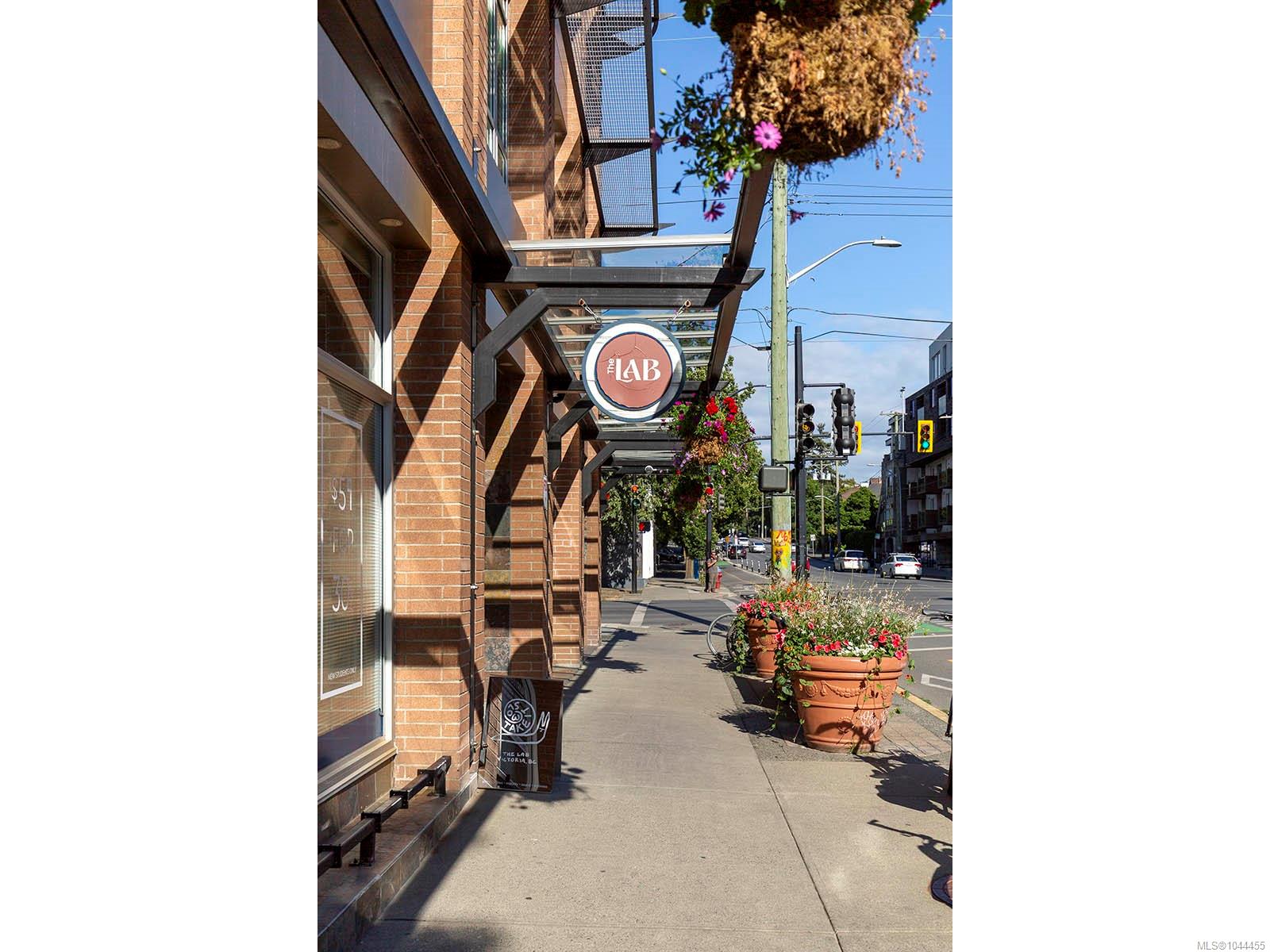 1033 Cook St #502