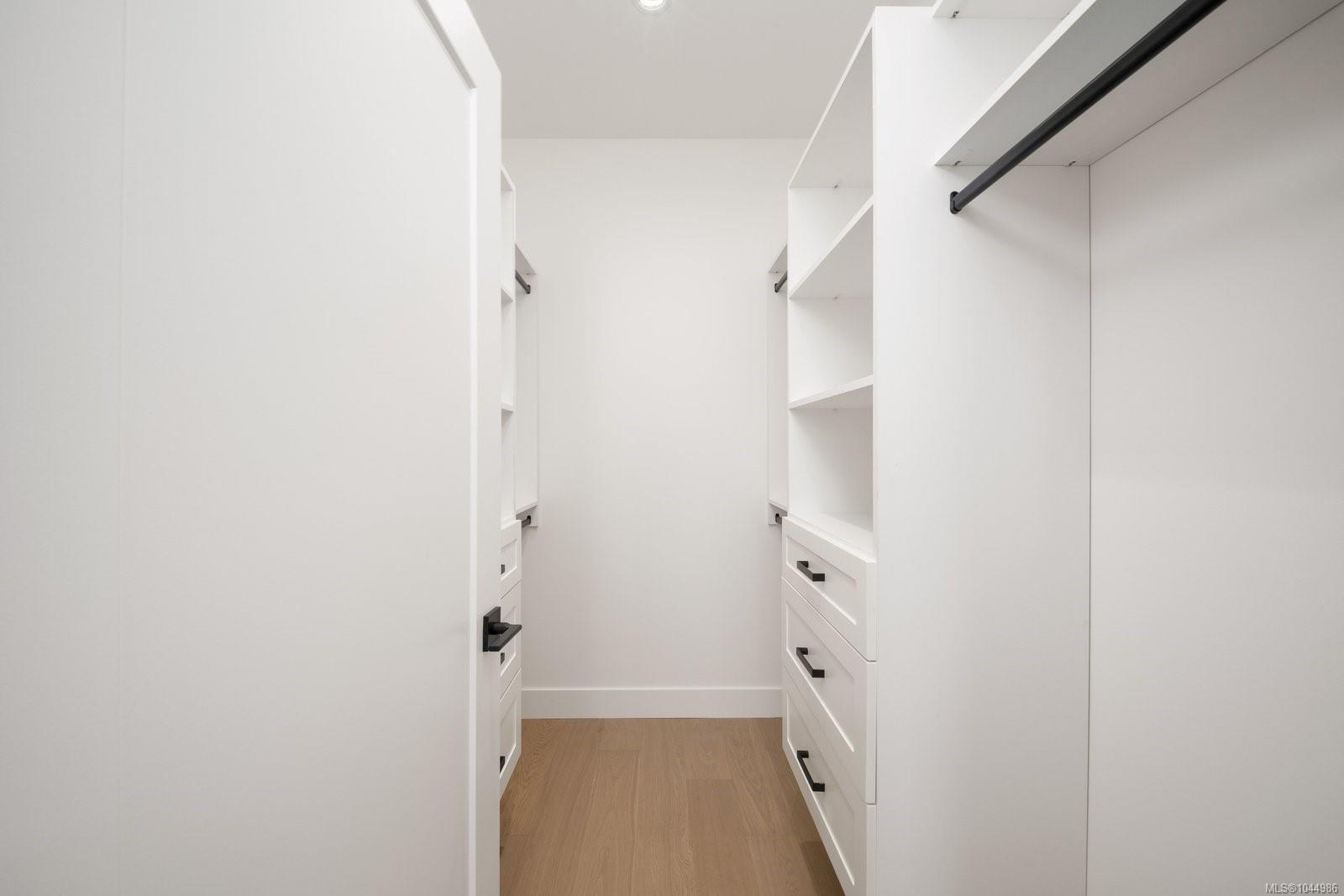 10011 Chicory Pl