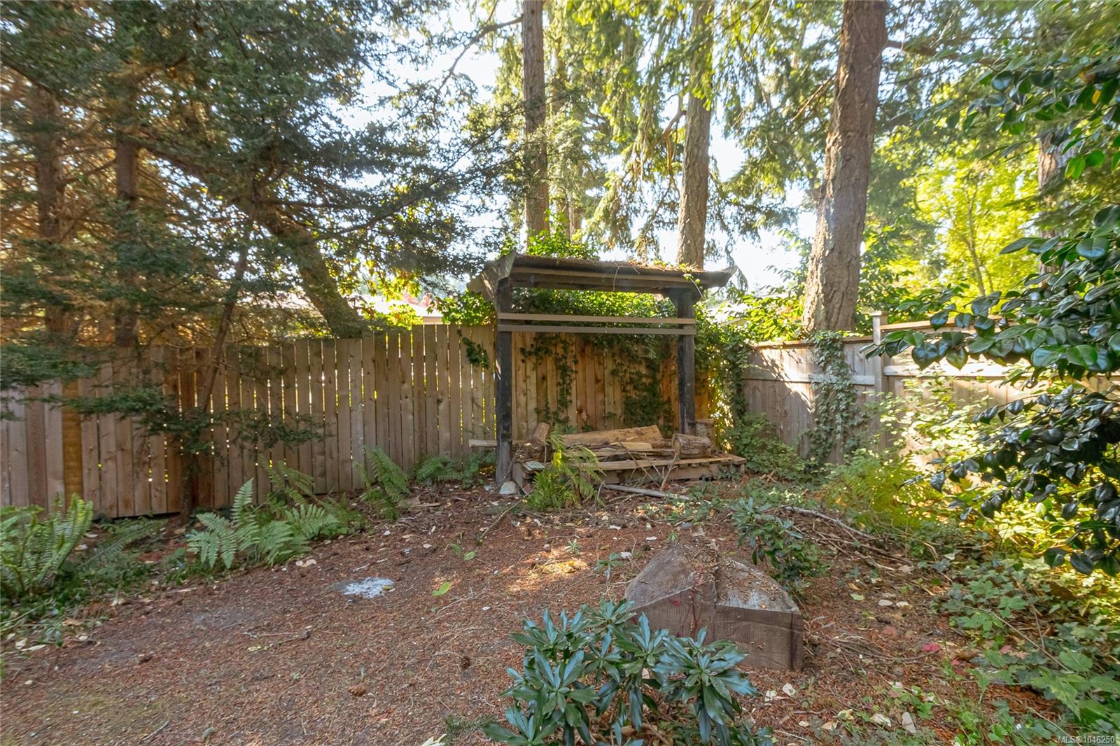 2680 Arbutus Rd