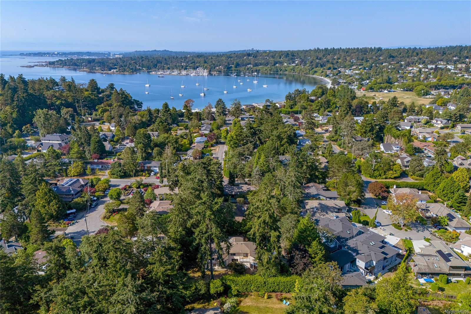 2680 Arbutus Rd