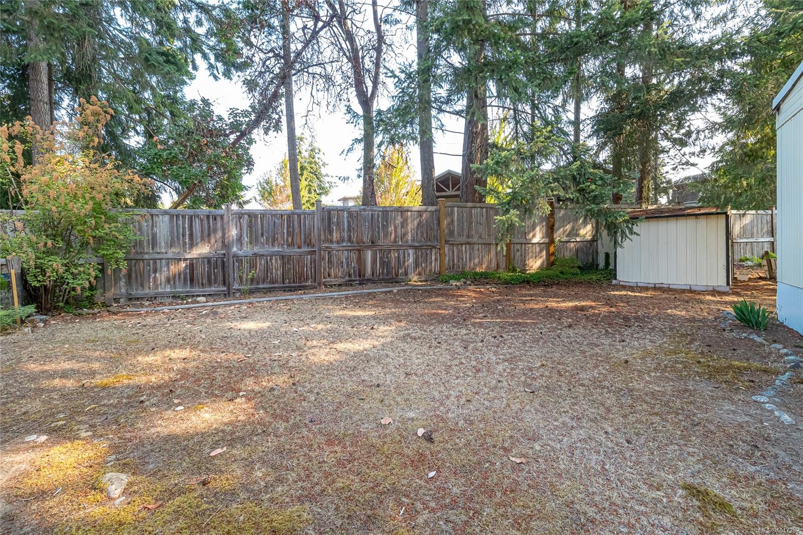 1247 Arbutus Rd #33