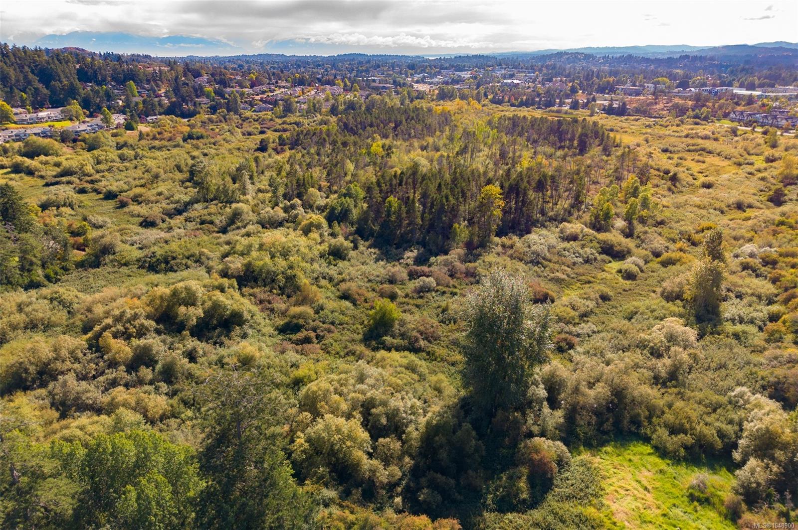 909 Carolwood Dr #6