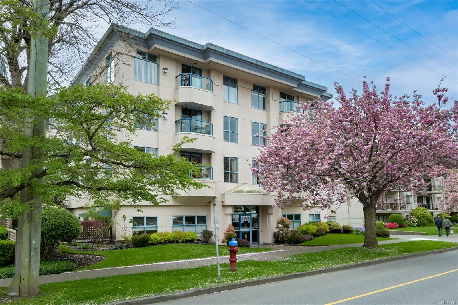 1063 Southgate St #209