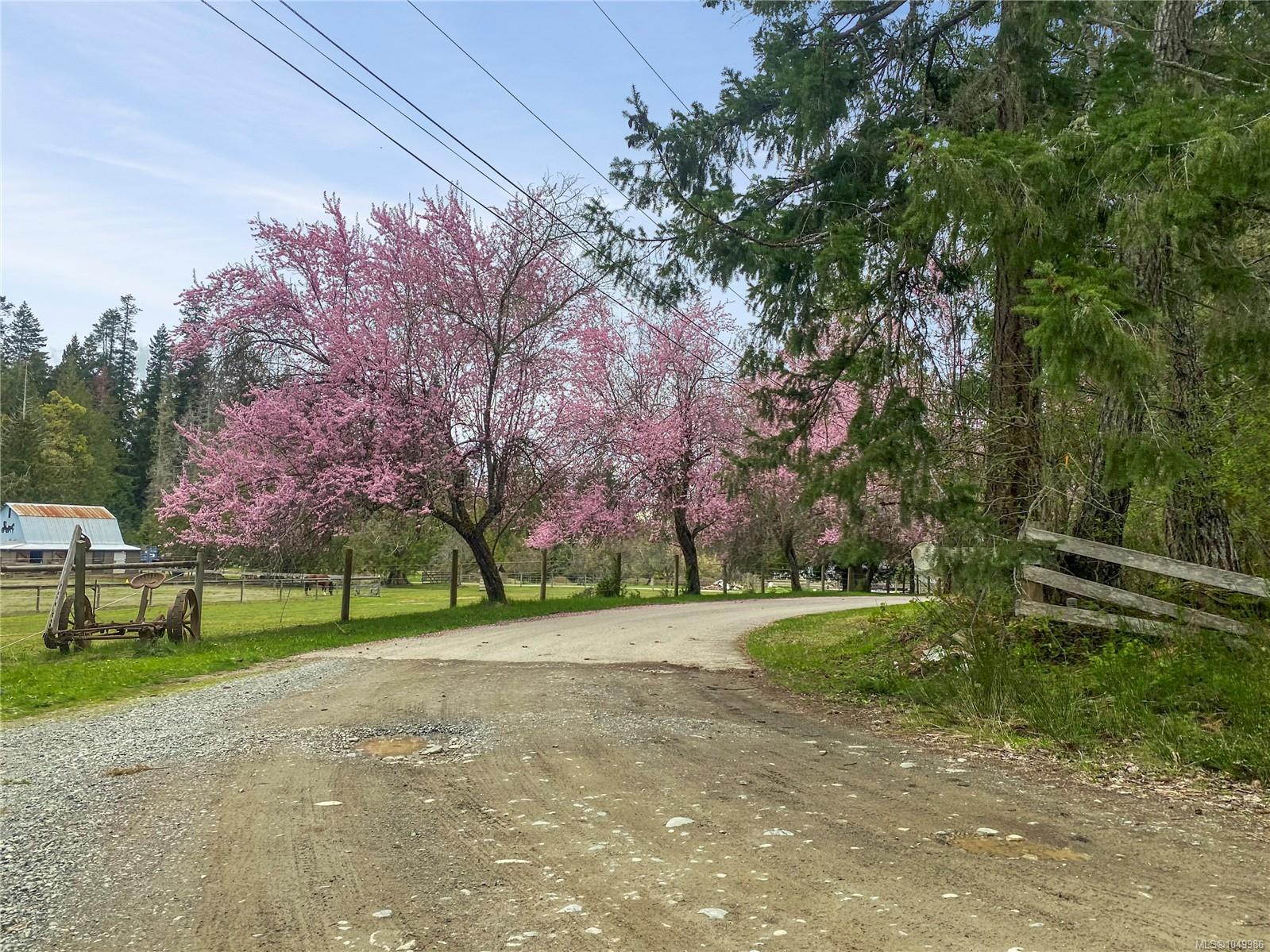 899,875 Andreef Rd