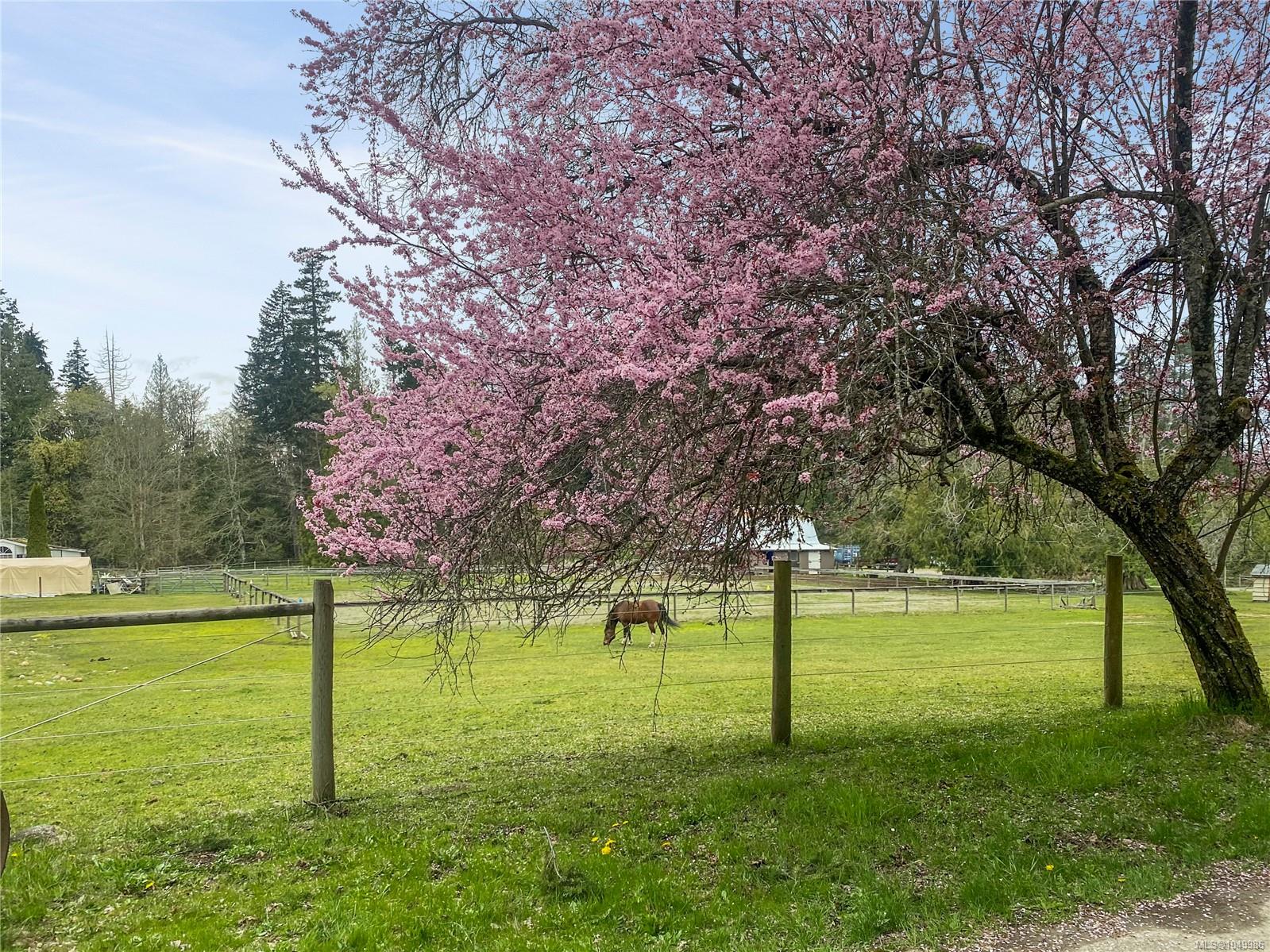 899,875 Andreef Rd