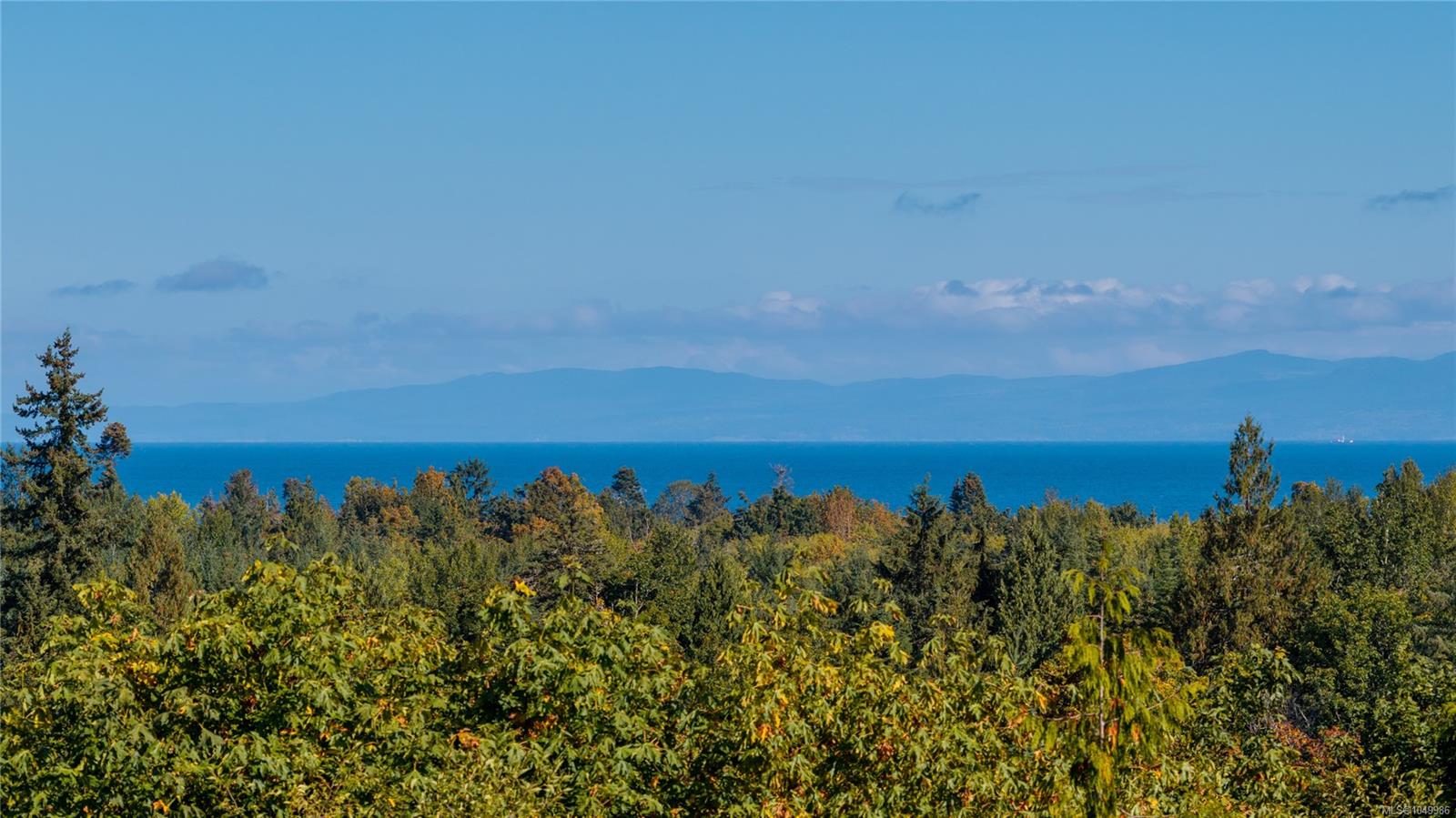 899,875 Andreef Rd