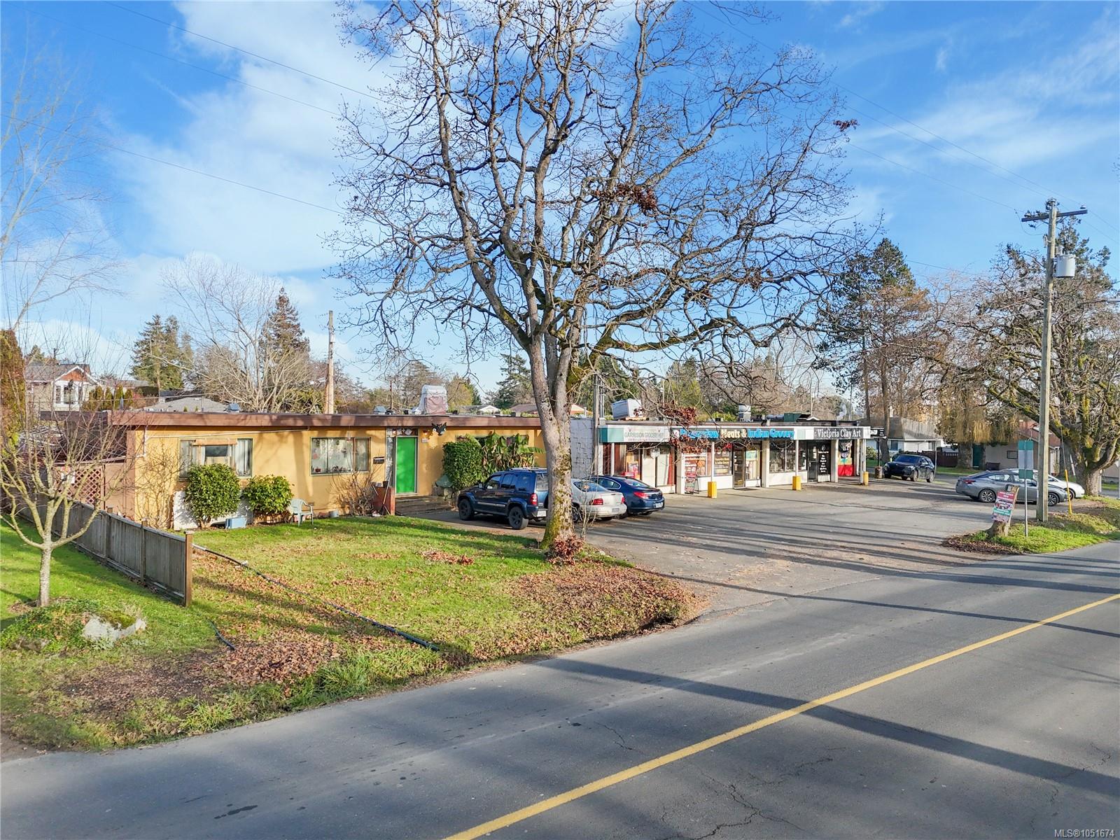 Low-rise commercial storefronts beside a road, with a large leafless tree in front.