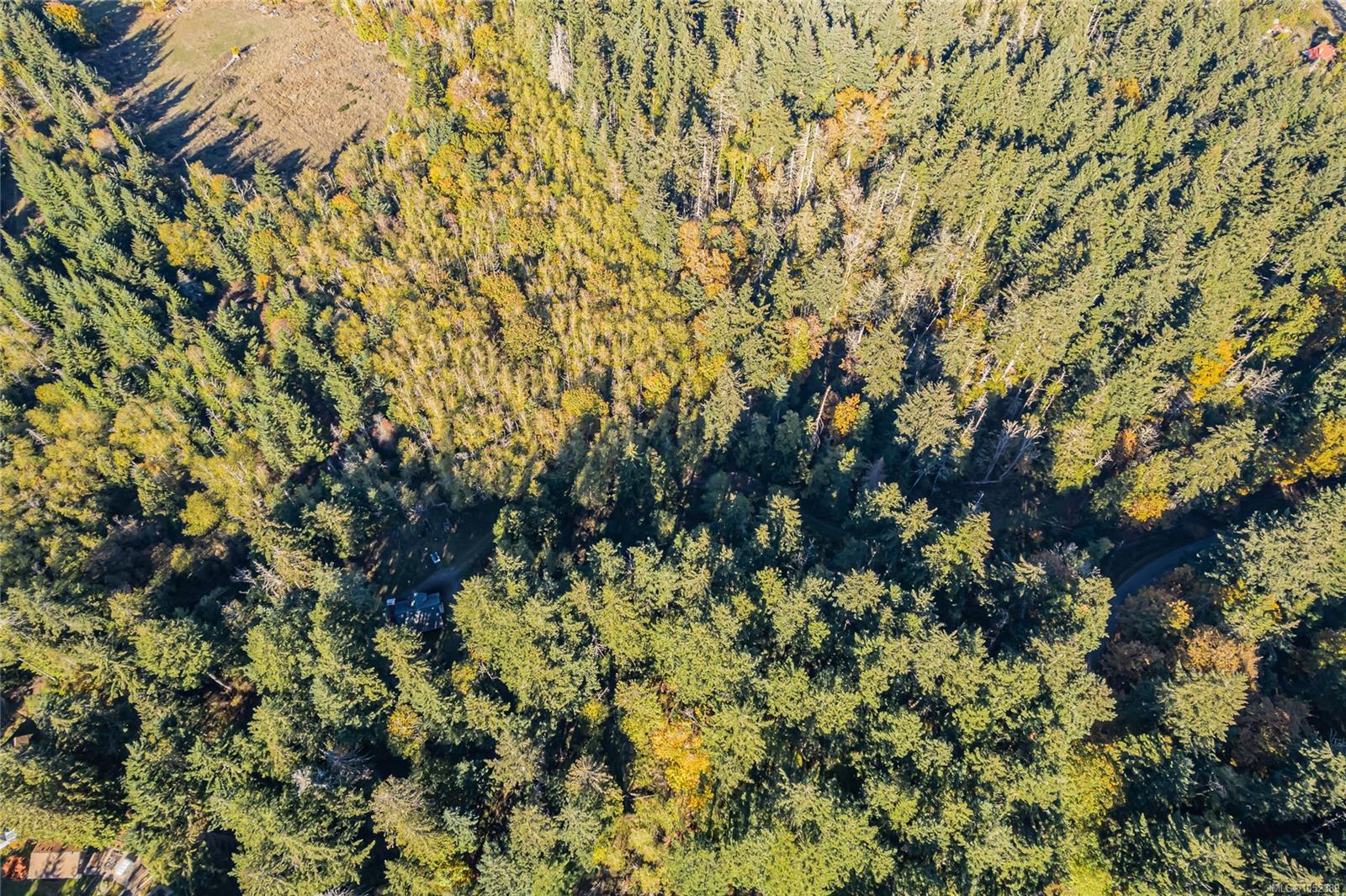 148 Meadow Dr