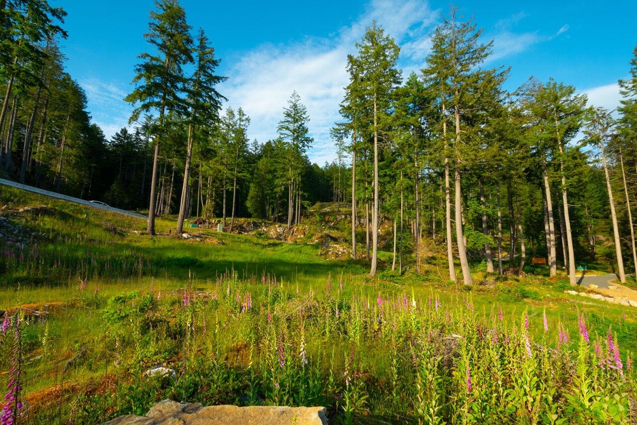 Lot 2 INNISFREE LANE