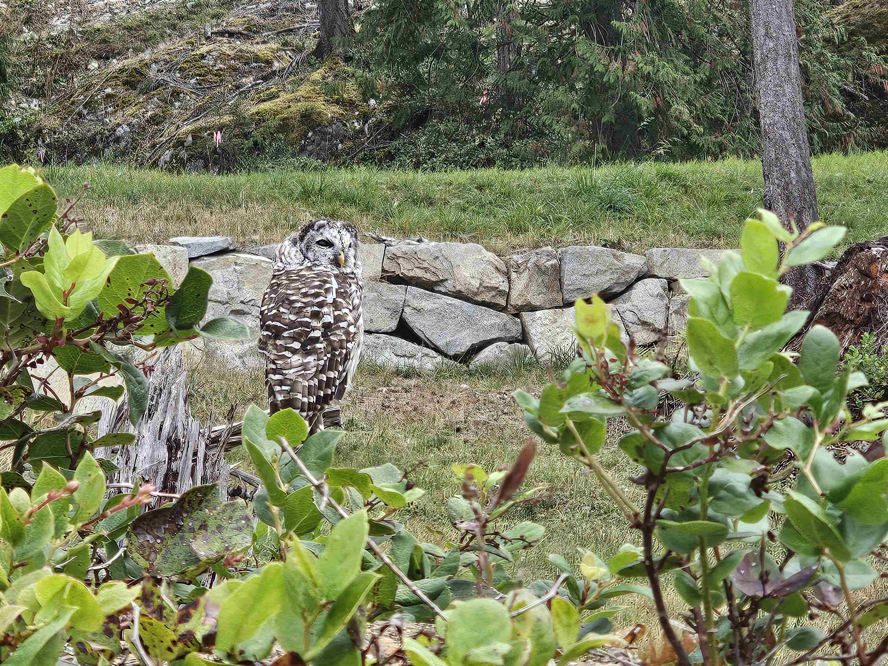 Lot 6 INNISFREE LANE