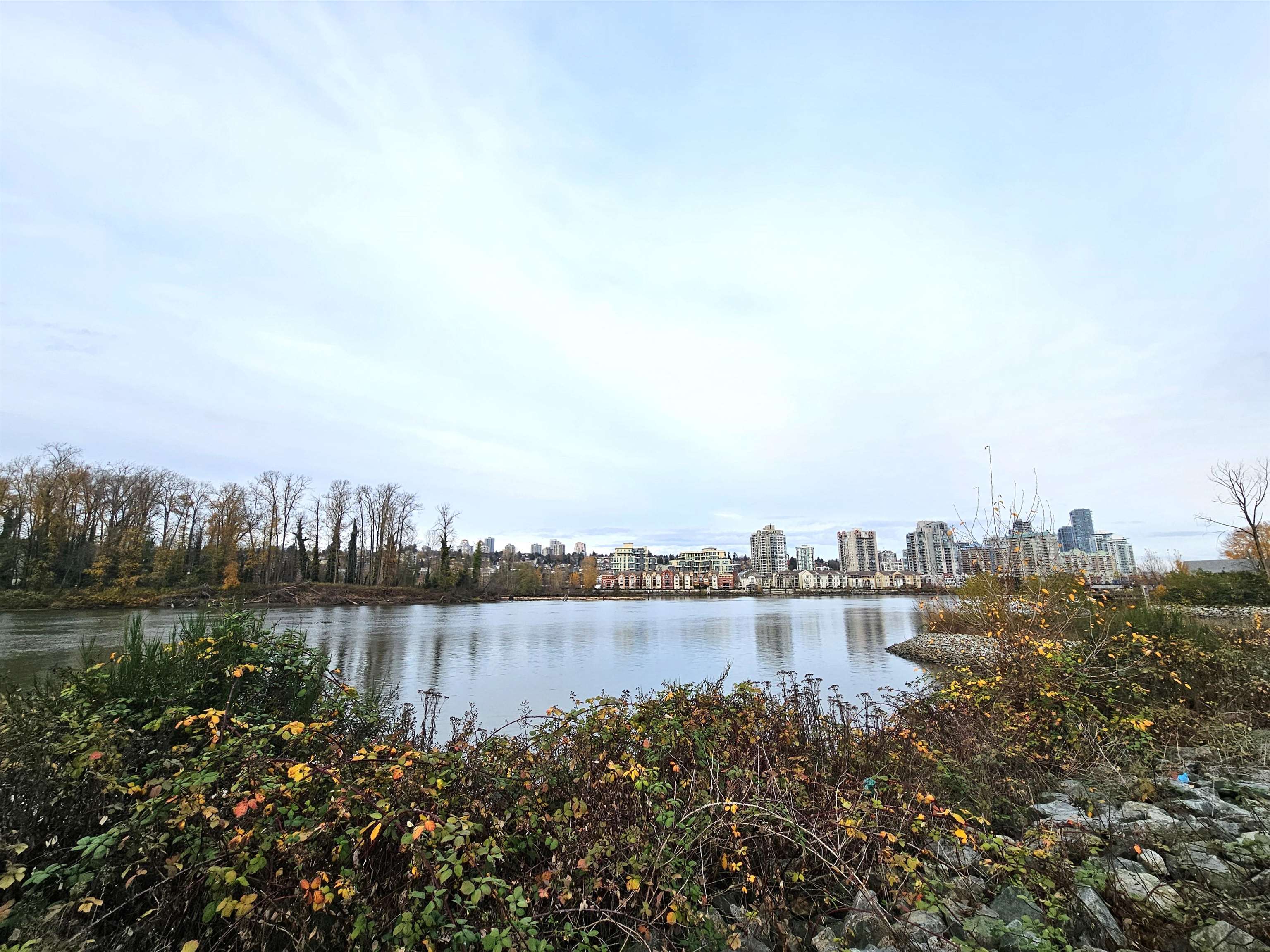139 488 FURNESS STREET Unit: 139