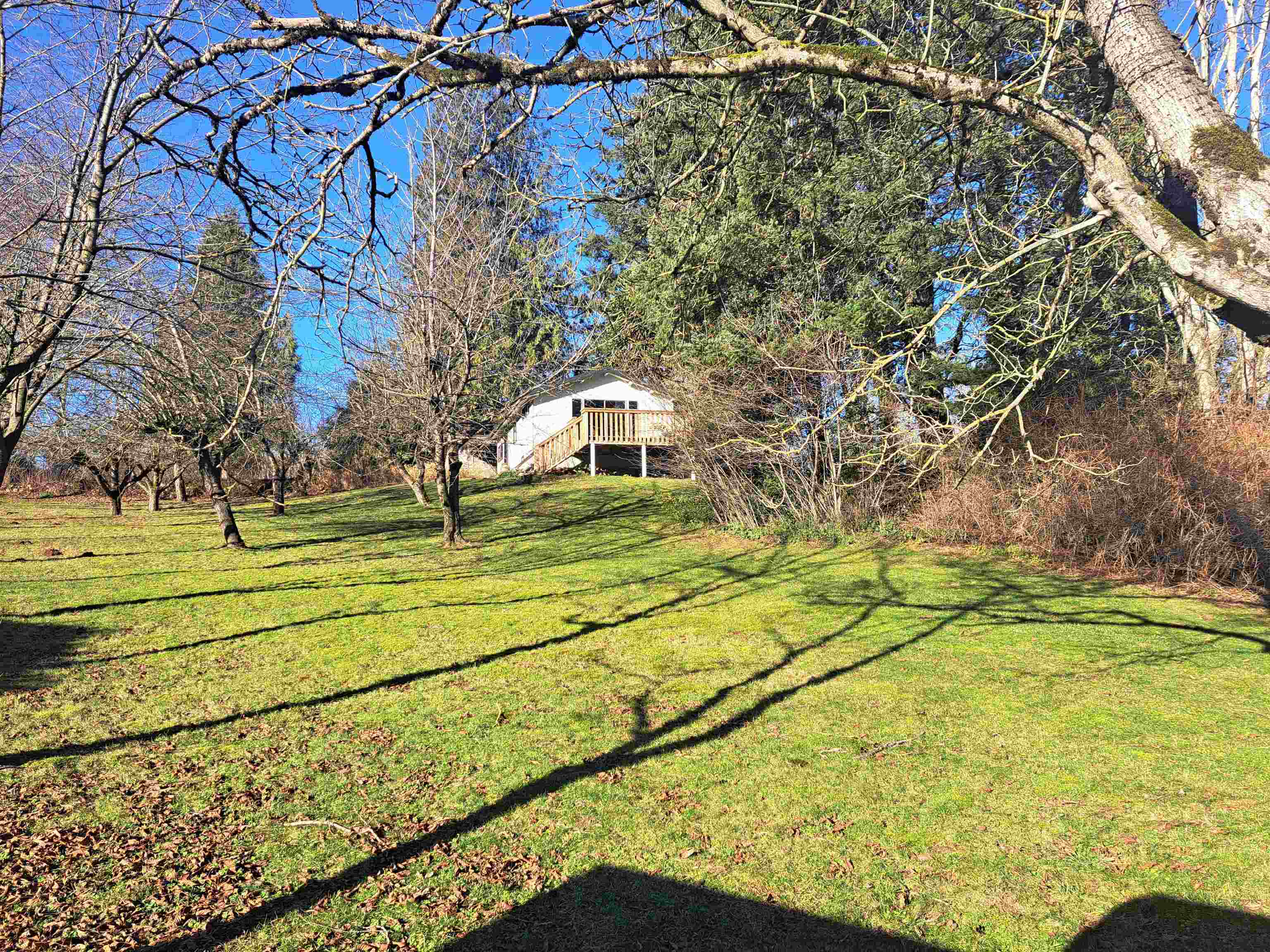 37318 WARD ROAD