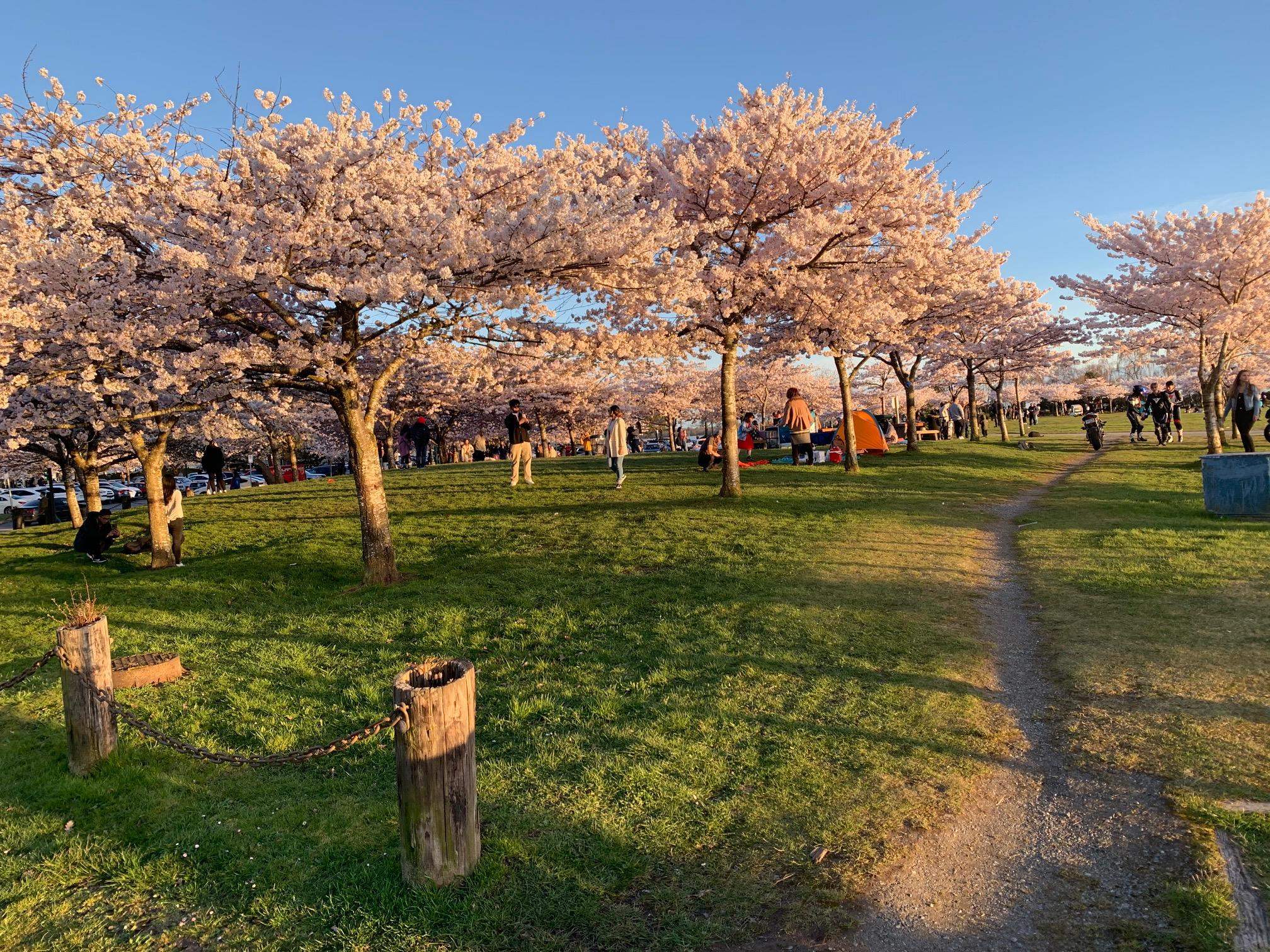 3491 BROADWAY STREET
