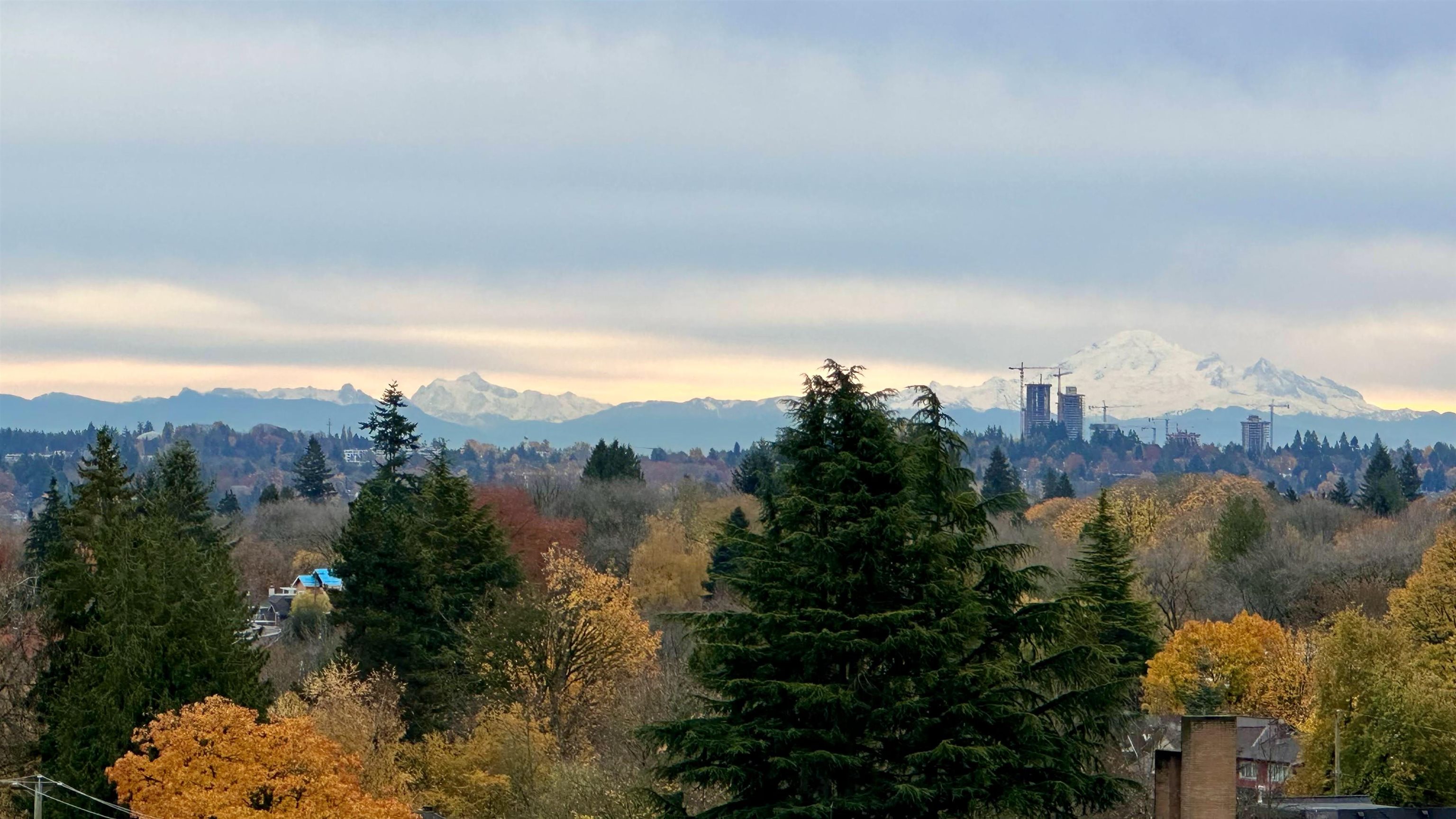 10 2575 TOLMIE STREET Unit: 10