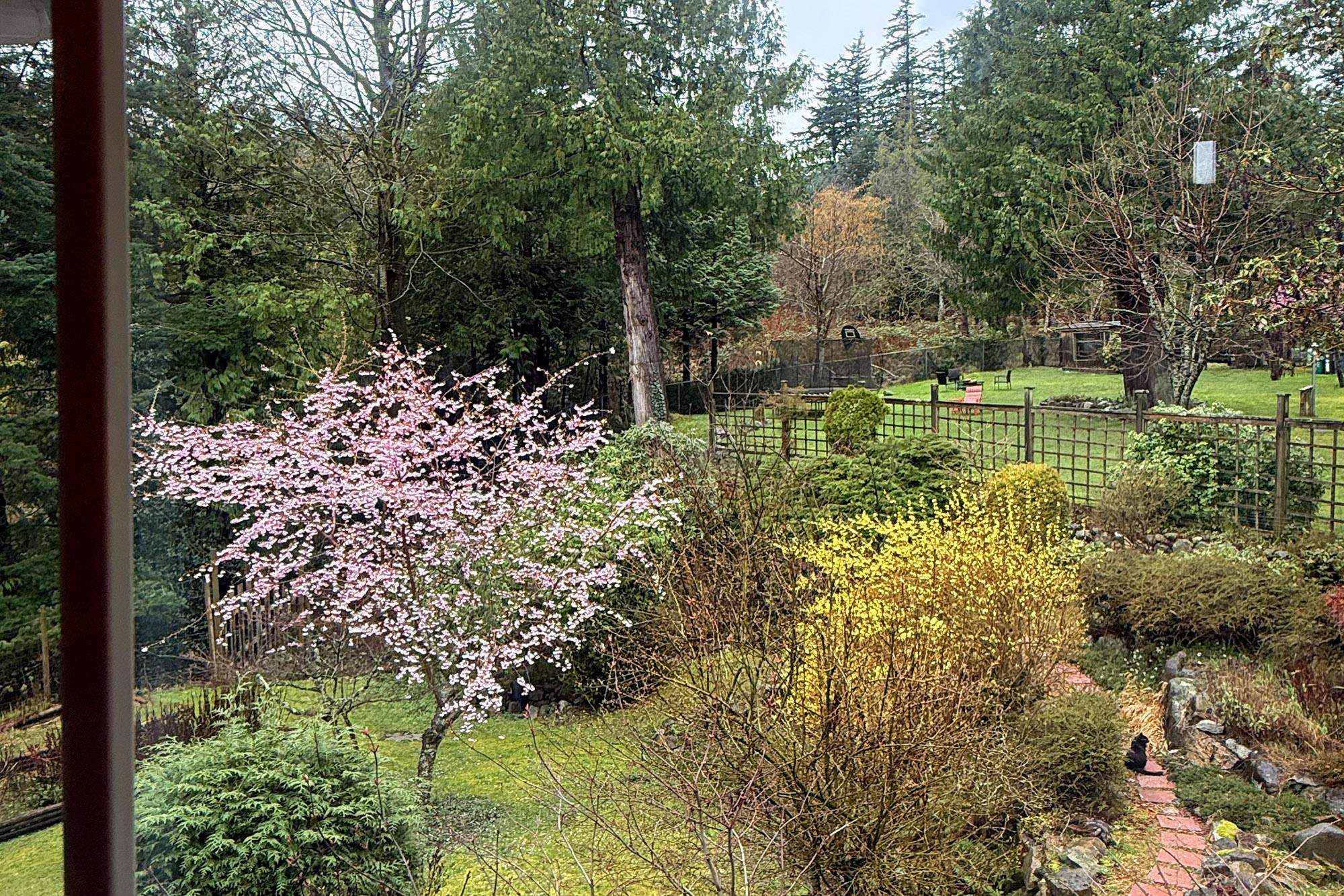 252 JASON ROAD