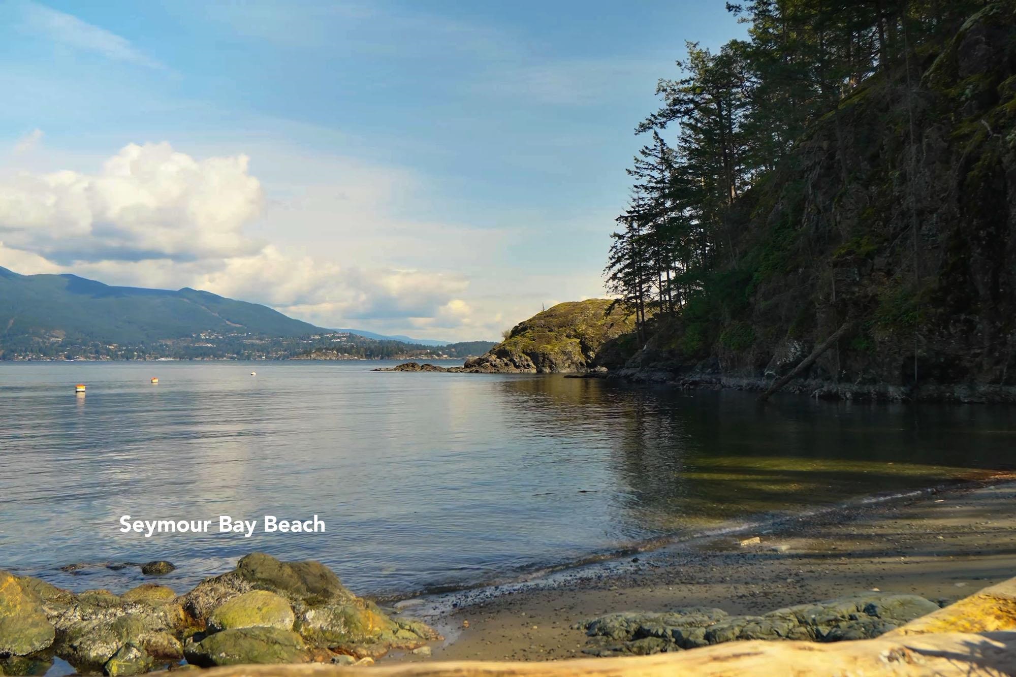 879 SEYMOUR BAY DRIVE
