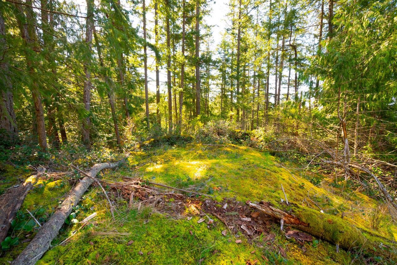 Lot 1 INNISFREE LANE