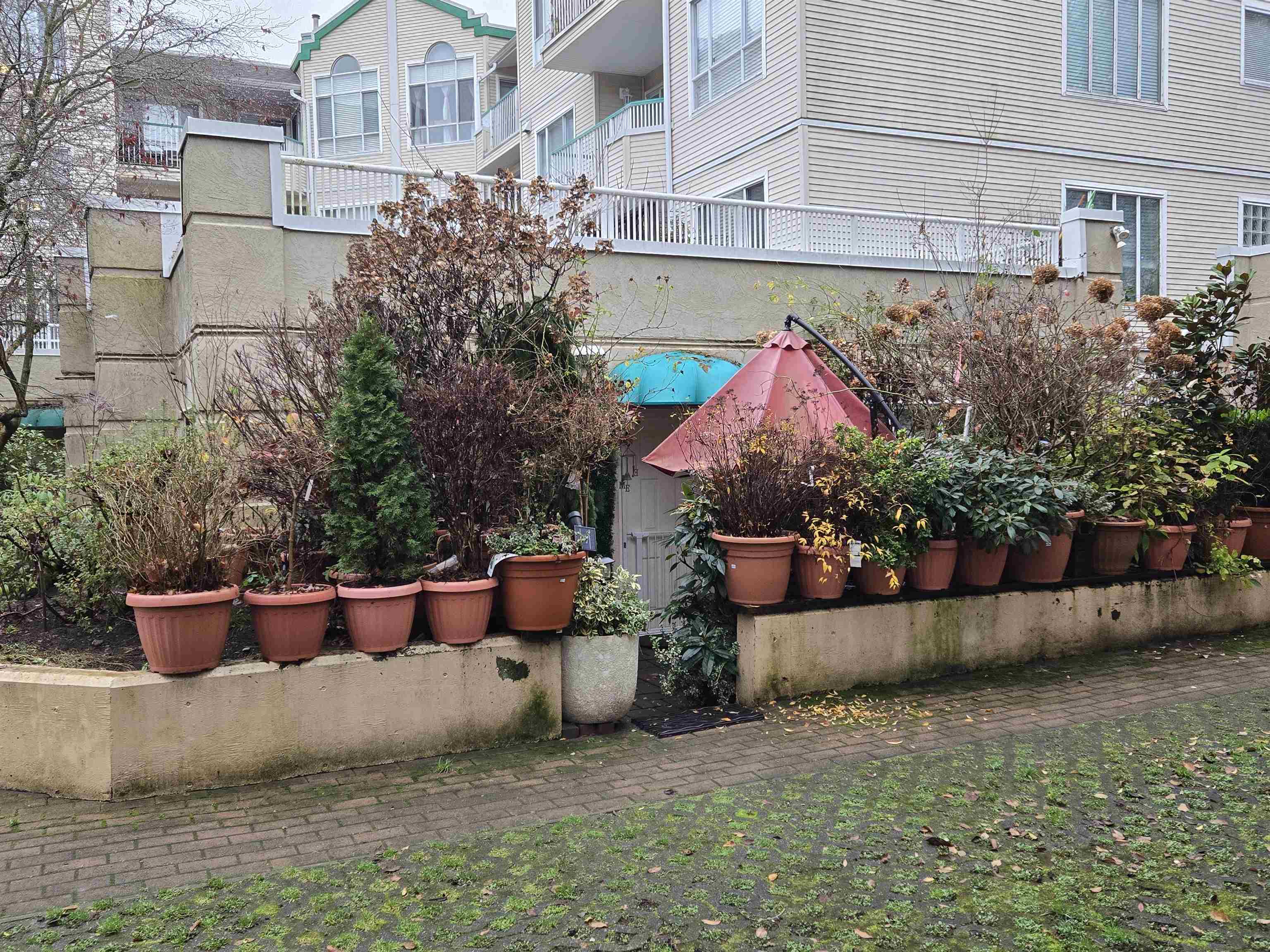 100 8655 JONES ROAD Unit: 100