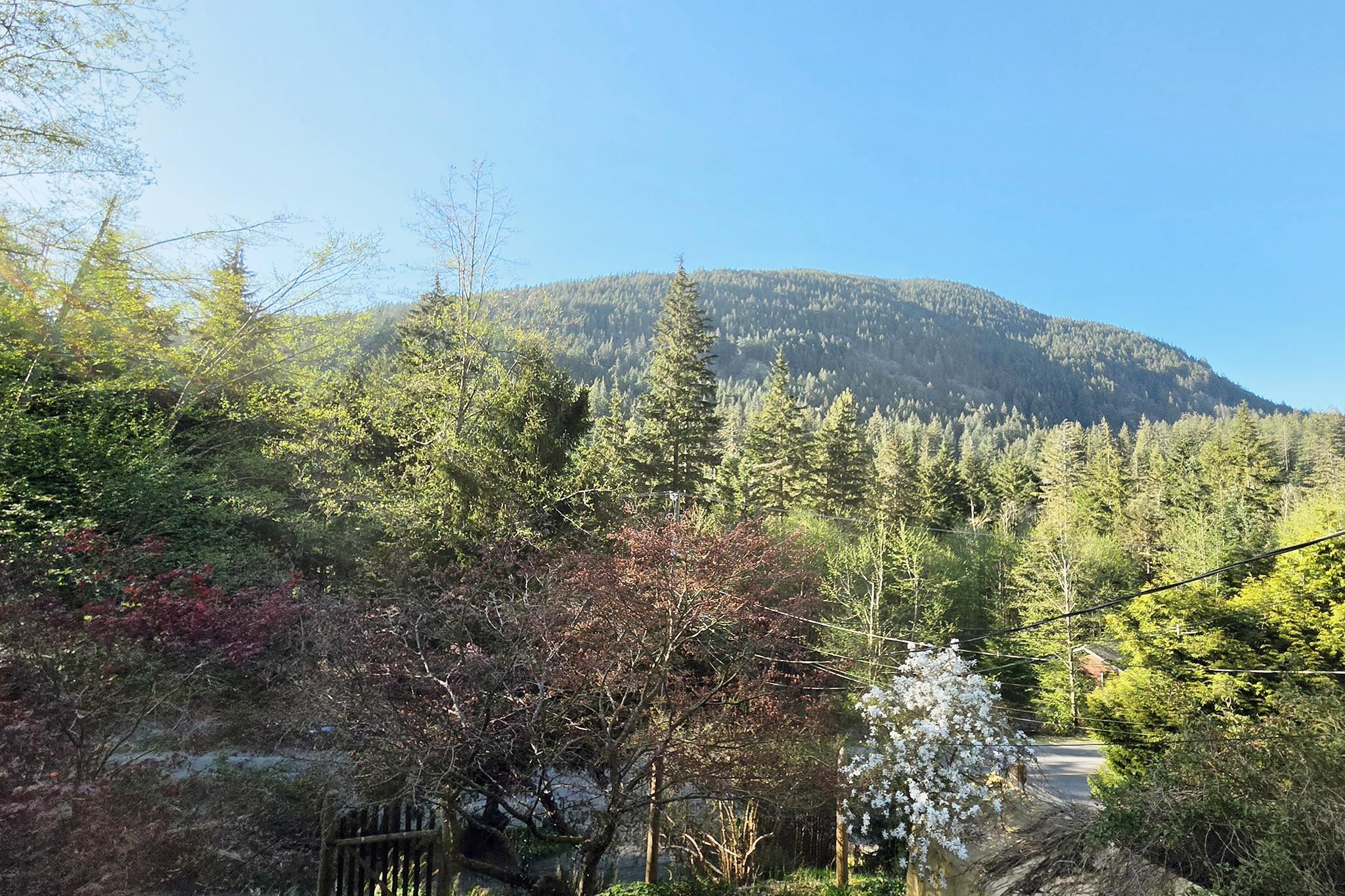 1253 ADAMS ROAD