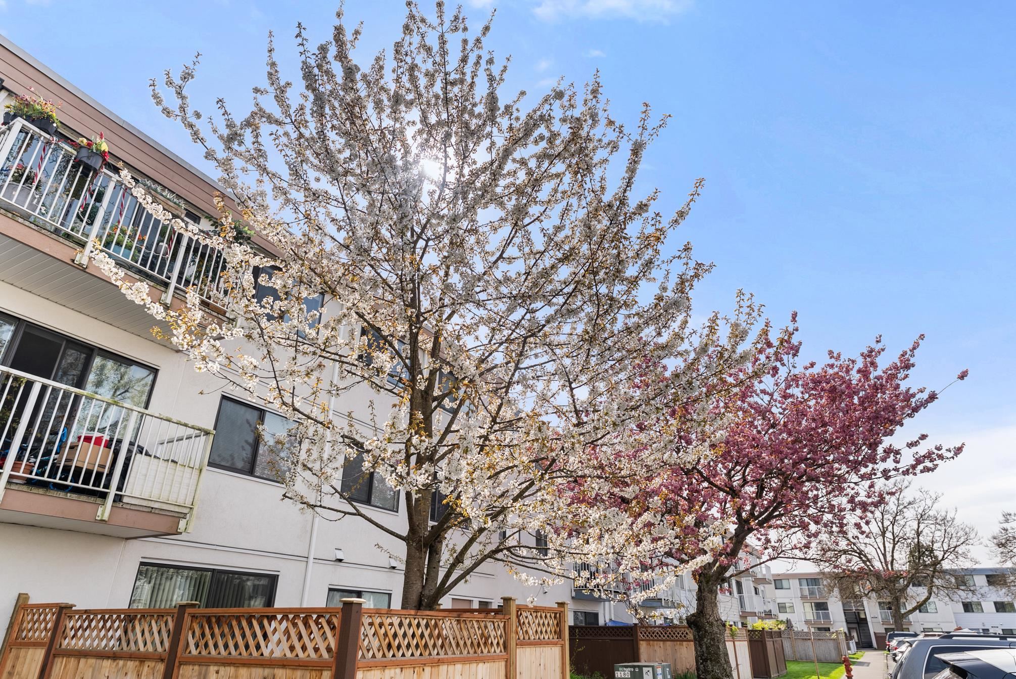 306 7240 LINDSAY ROAD Unit: 306