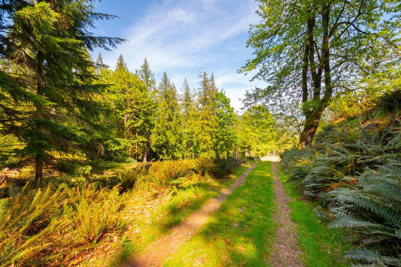 LOT B HIKER'S TRAIL