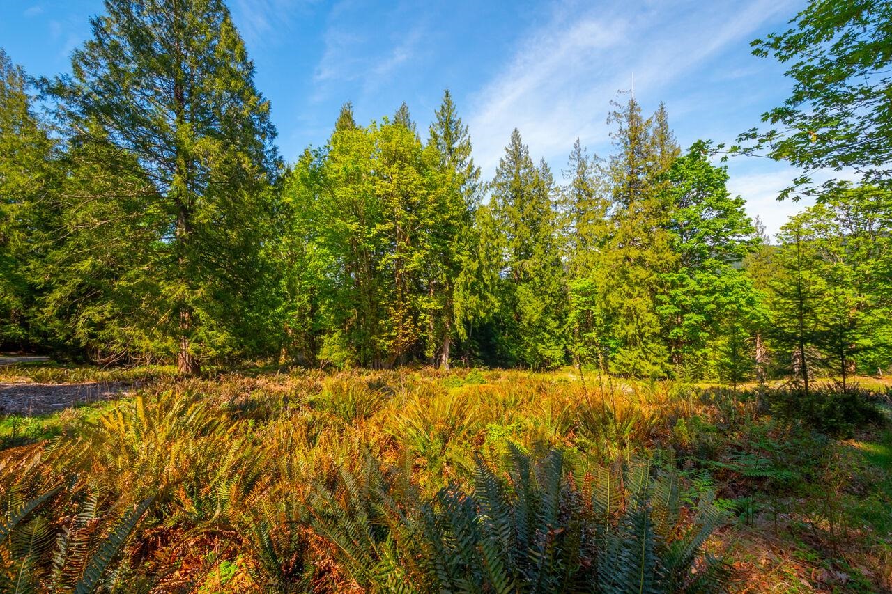 LOT B HIKER'S TRAIL