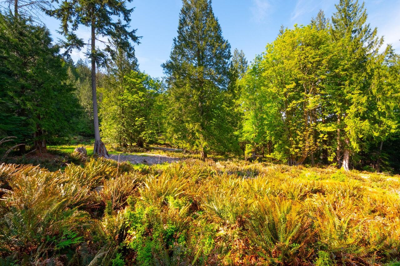 LOT B HIKER'S TRAIL