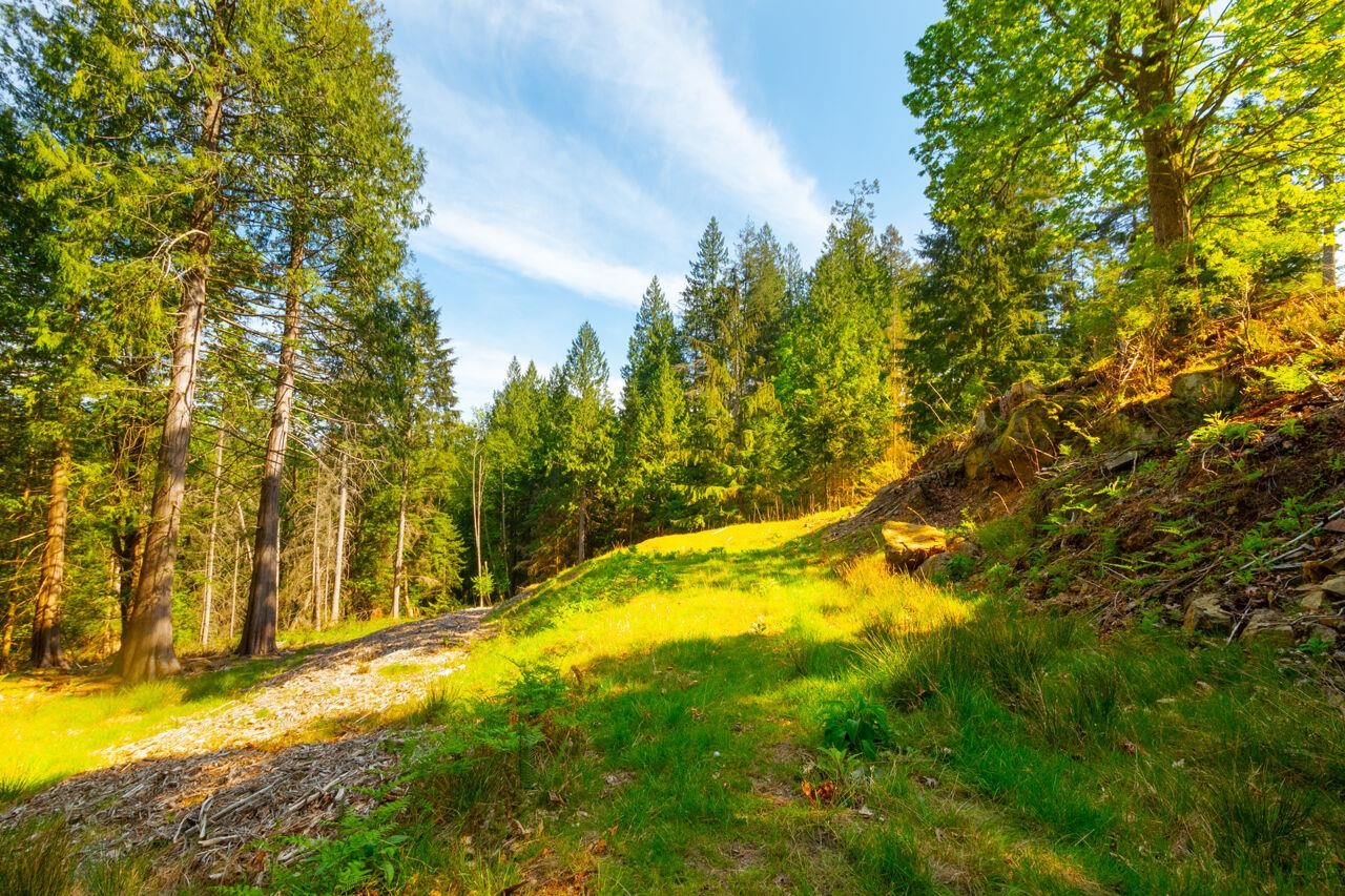 LOT B HIKER'S TRAIL