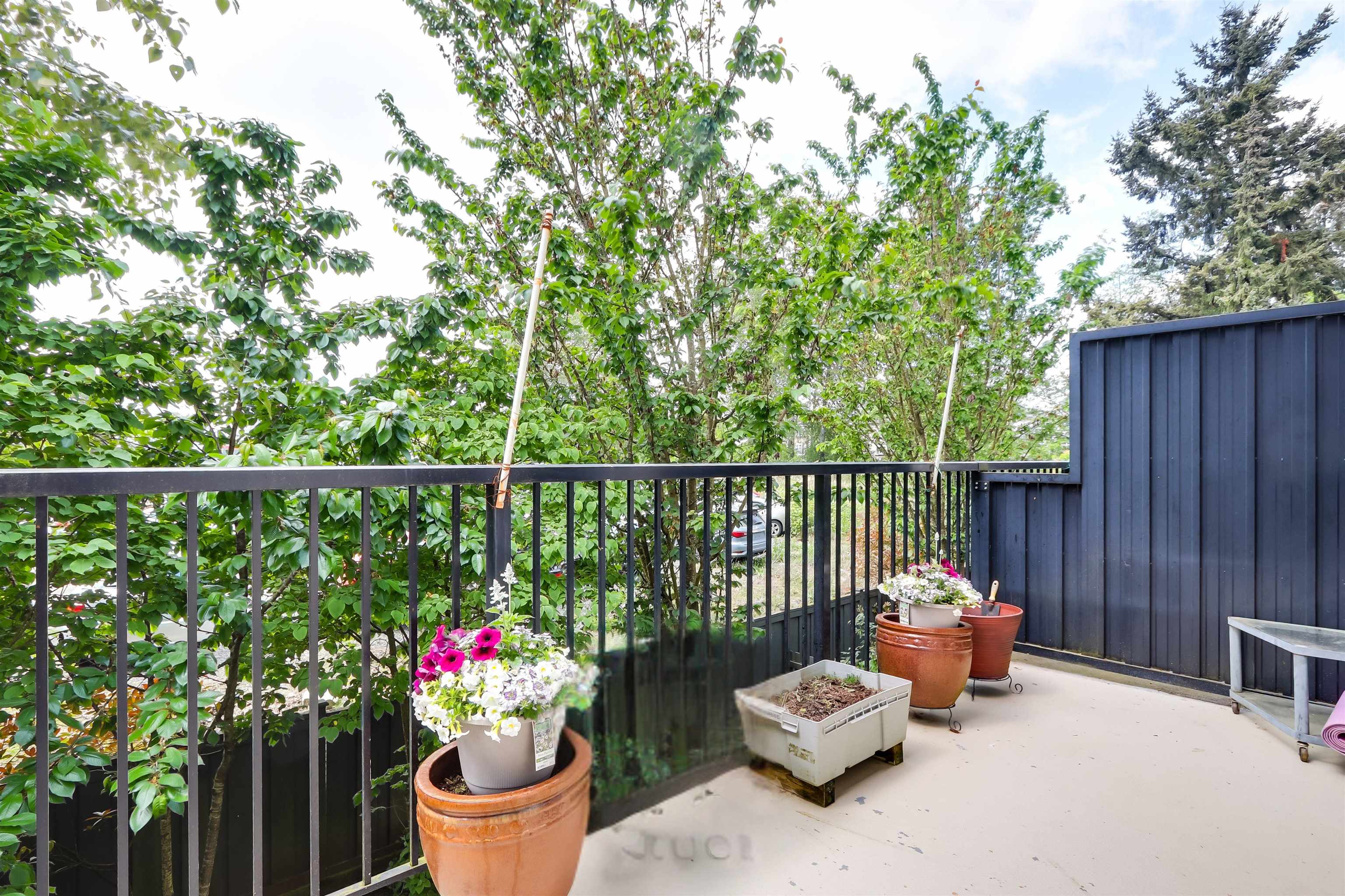 59 8355 164 STREET Unit: 59
