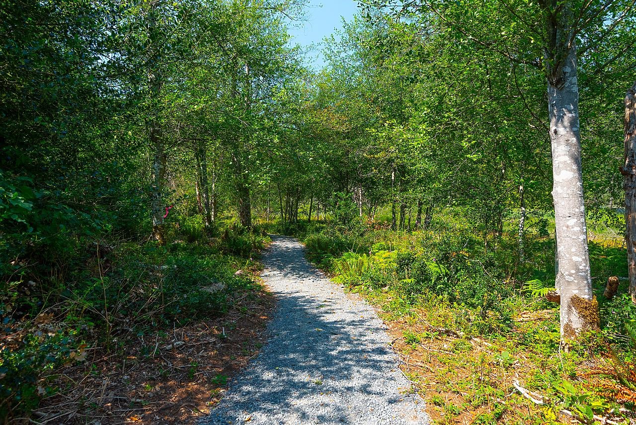 857 FORSTER LANE