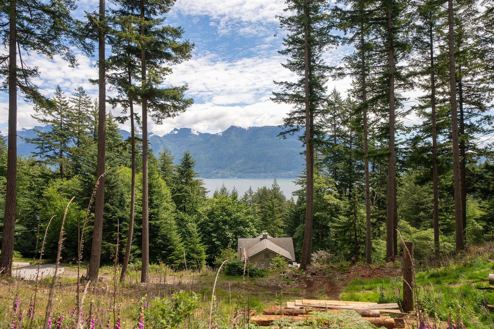 393 CREEK ROAD
