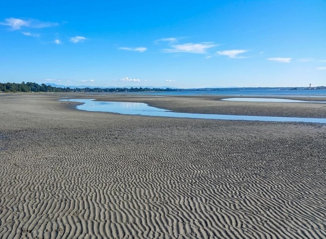 303 15165 MARINE DRIVE