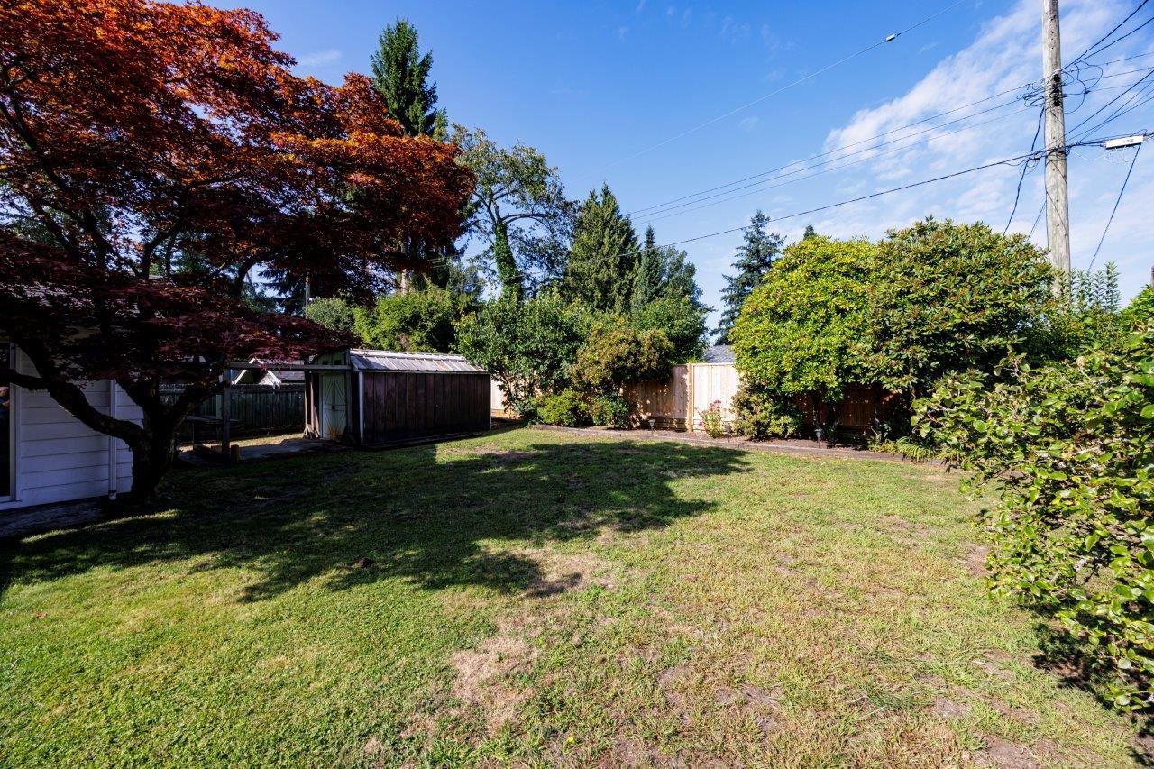 1161 REDWOOD STREET