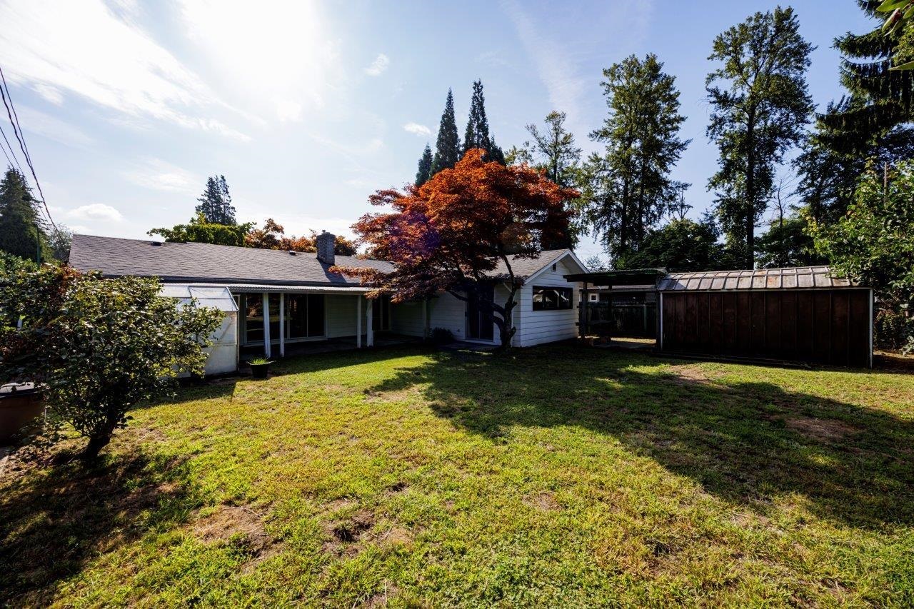 1161 REDWOOD STREET