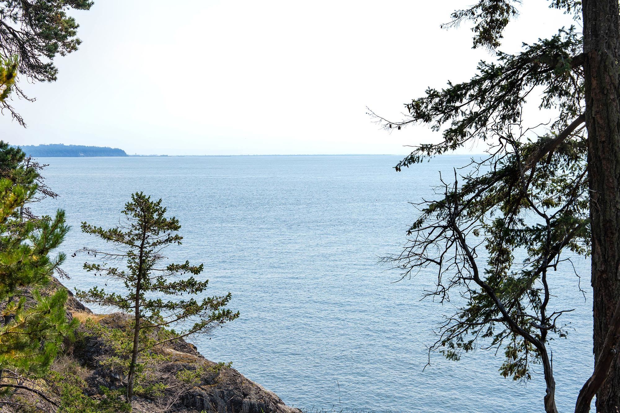 923 OCEAN PARK LANE