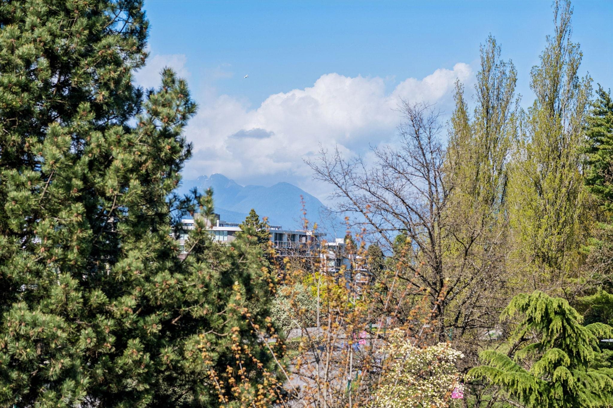 509 4867 CAMBIE STREET