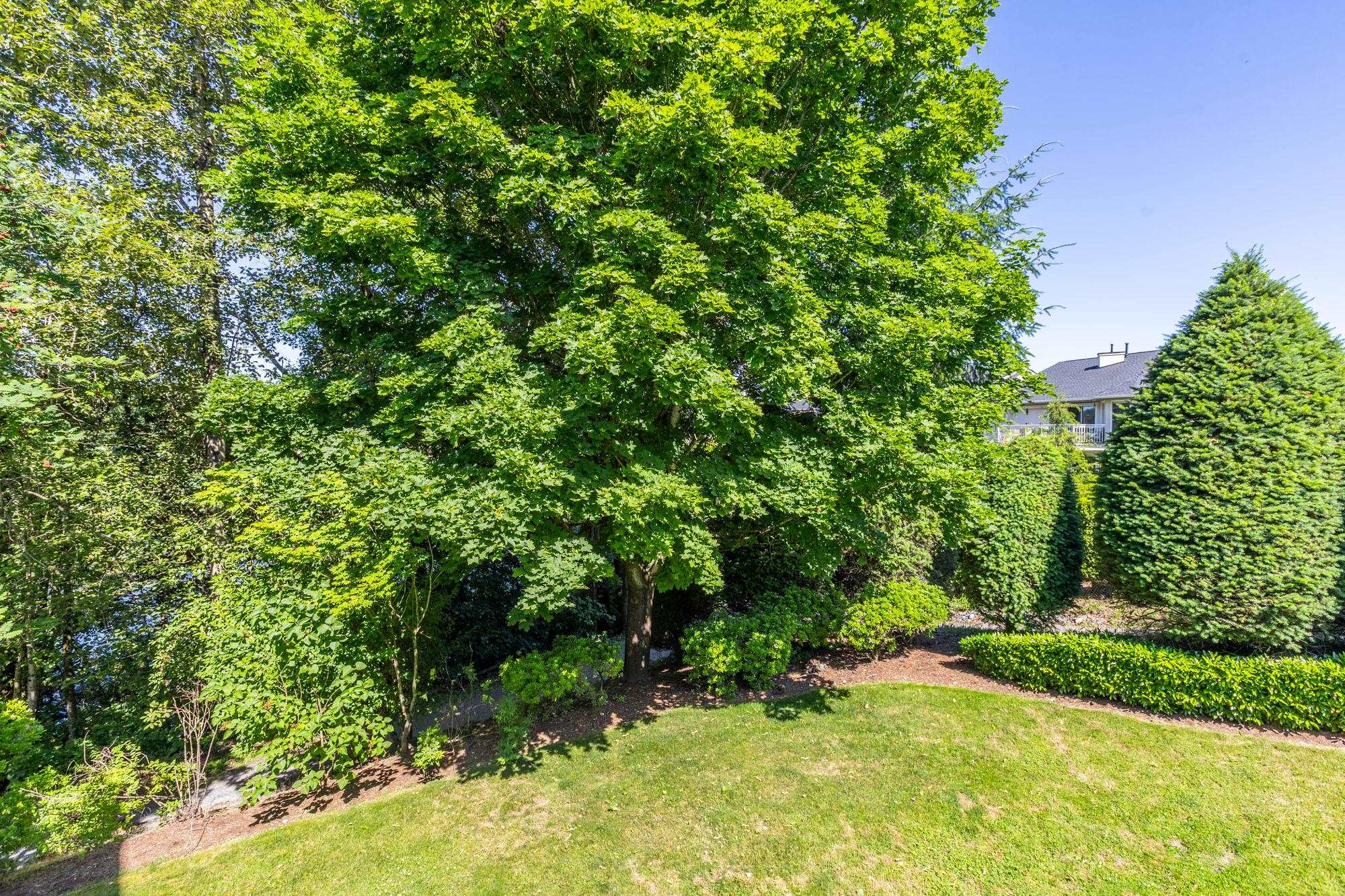 13 31501 UPPER MACLURE ROAD