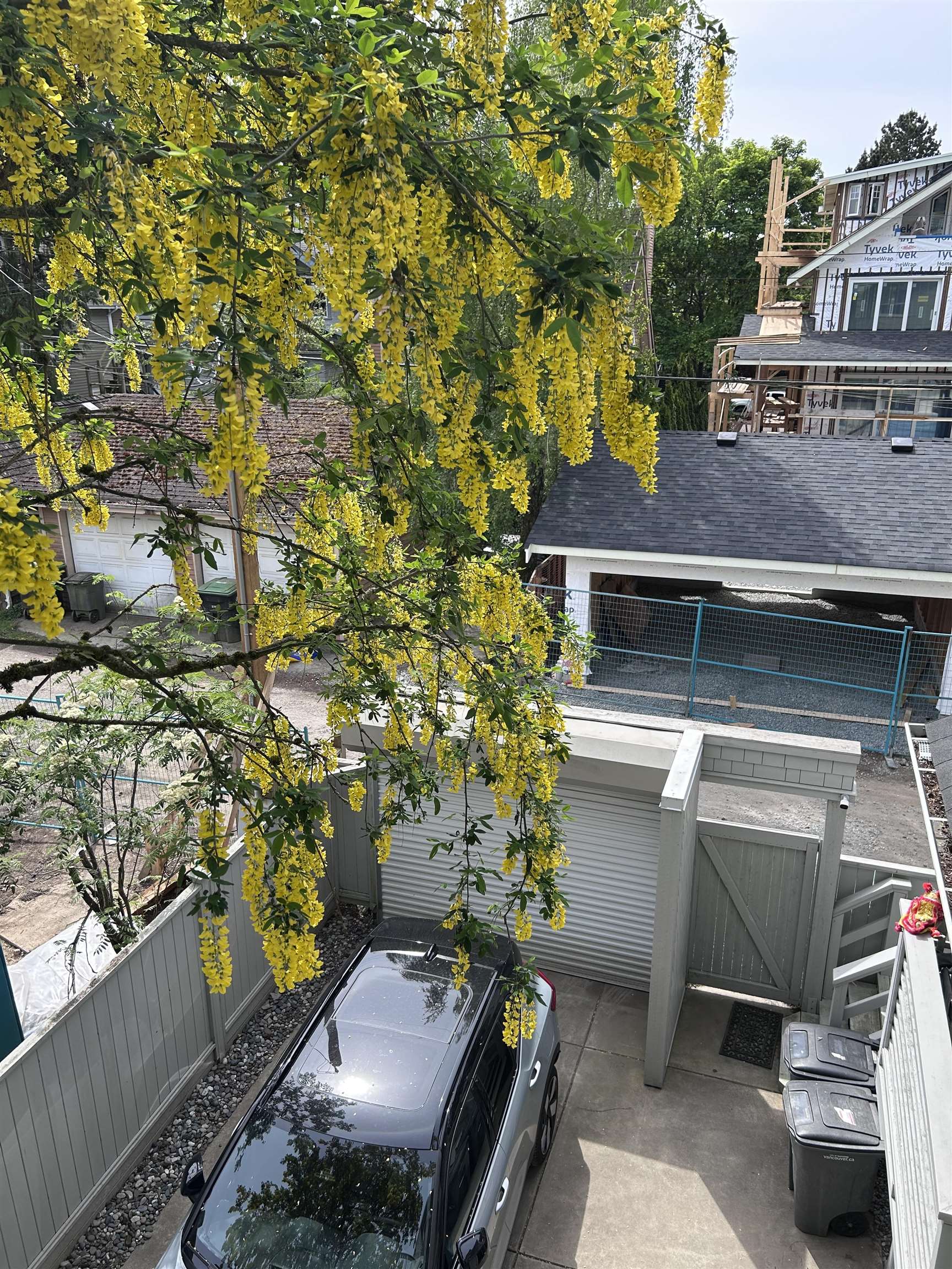 1714 ALMA STREET