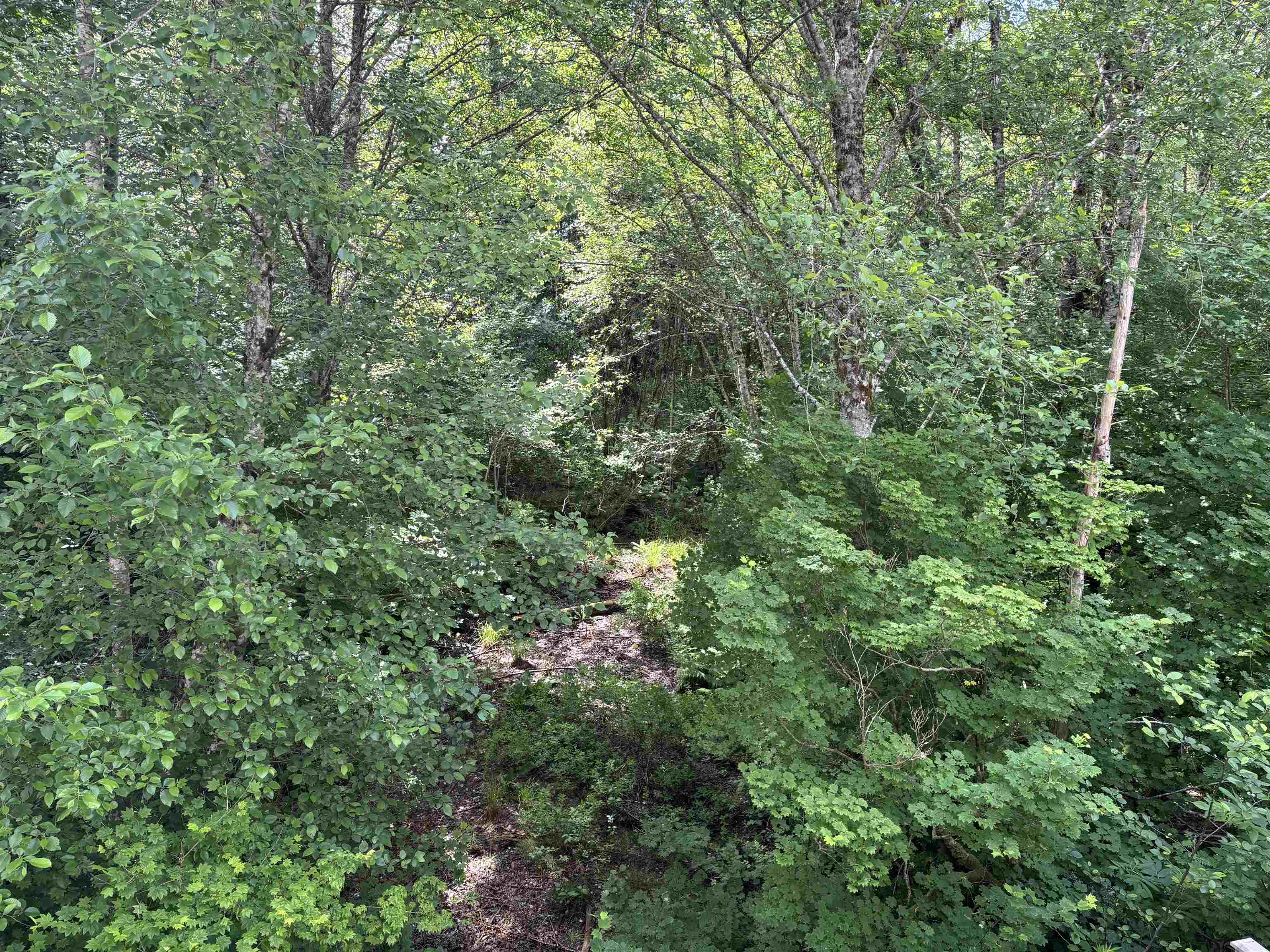 28 39548 LOGGERS LANE
