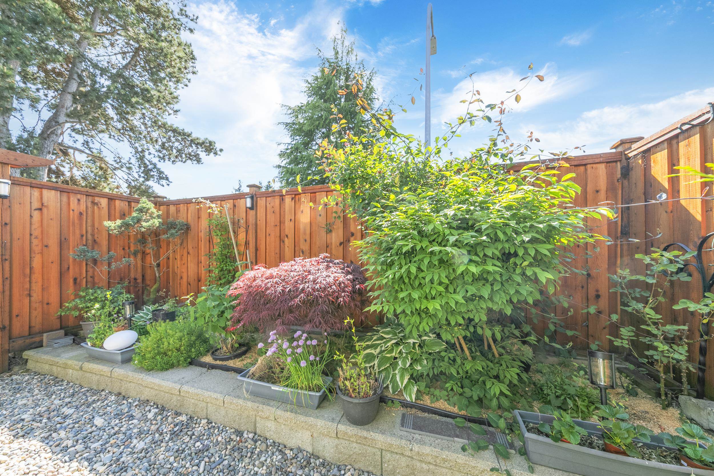 3 9080 PARKSVILLE DRIVE