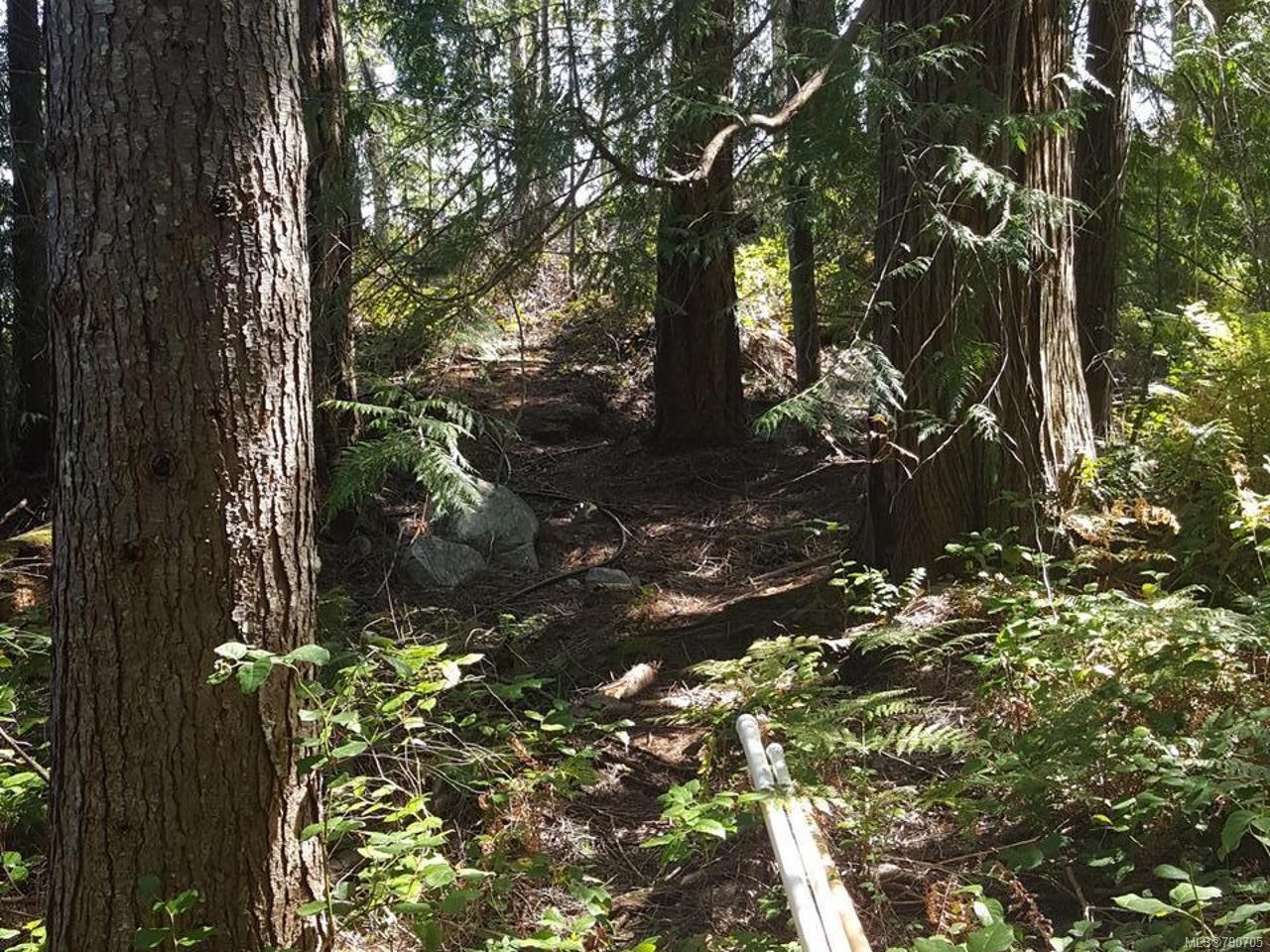 SITE 6 1846 TIBER BAY ROAD