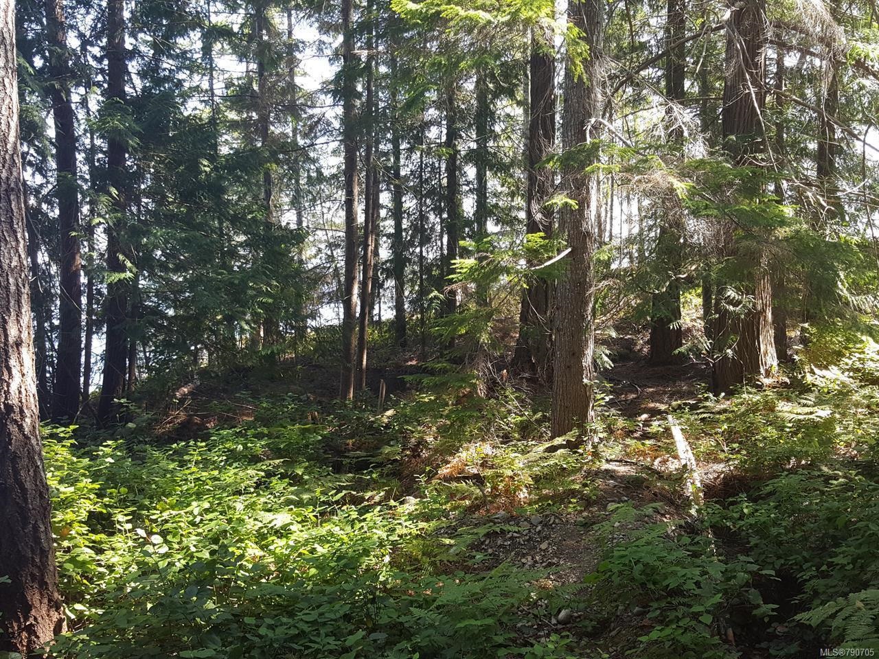 SITE 6 1846 TIBER BAY ROAD