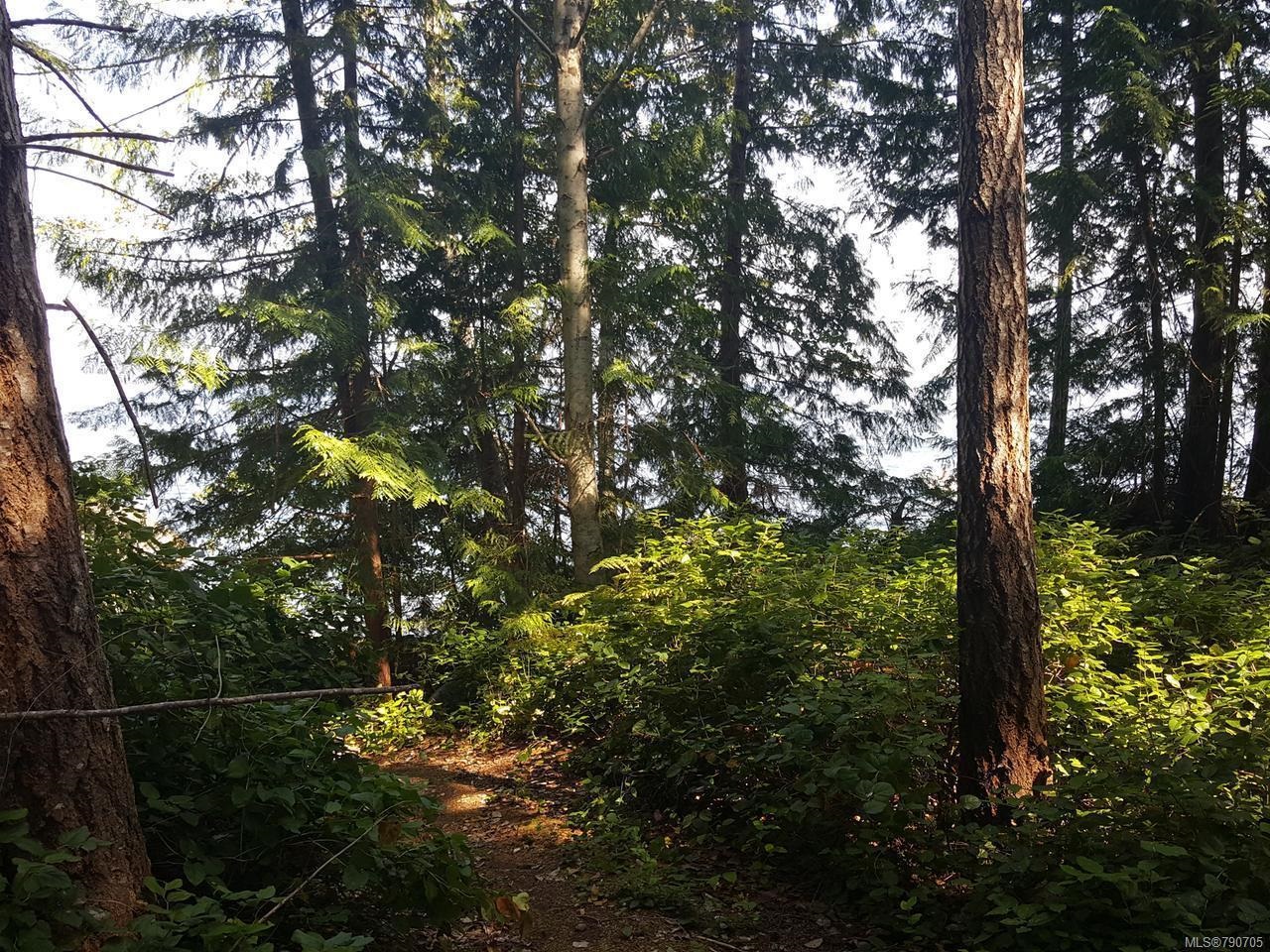 SITE 6 1846 TIBER BAY ROAD