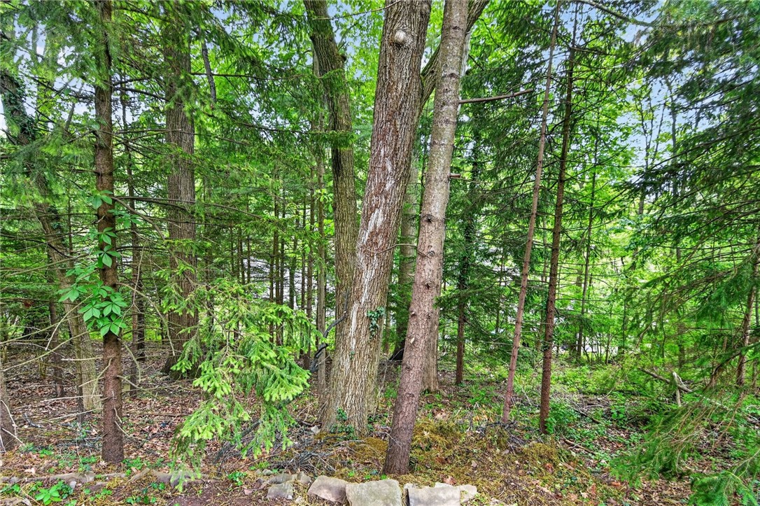 339 OAK FOREST DRIVE