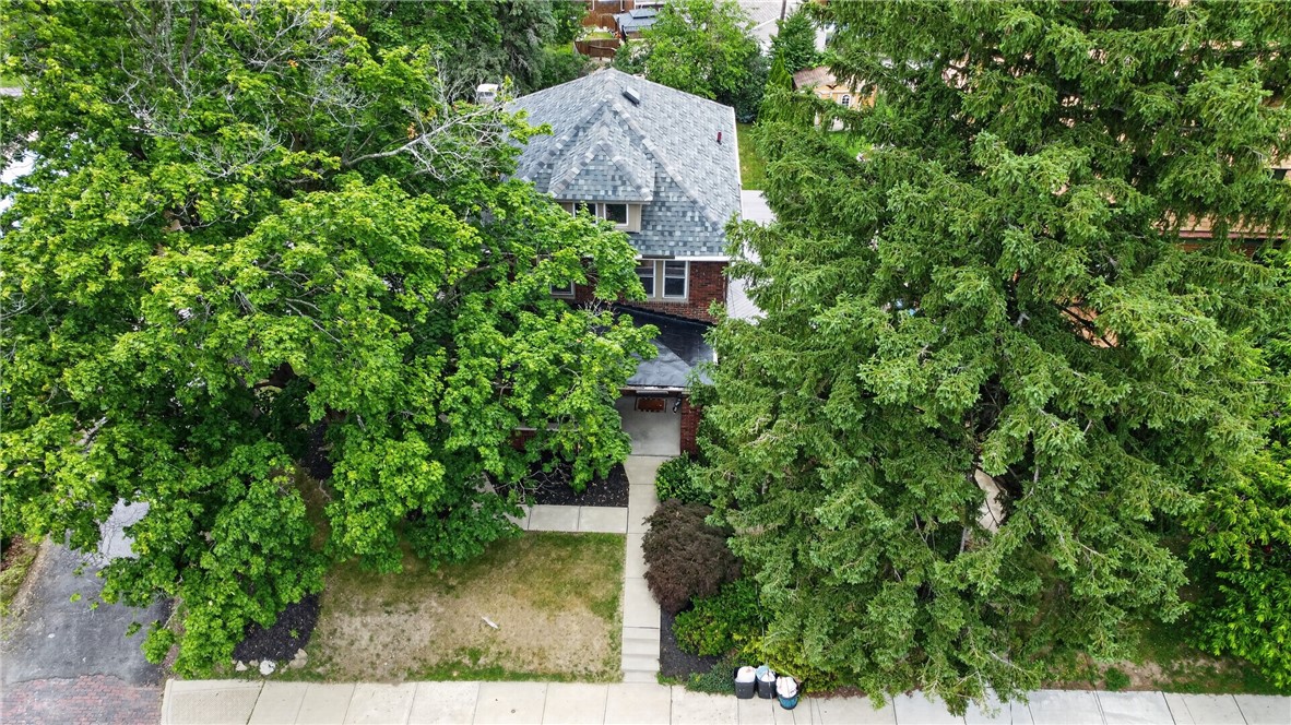 9 Elton St